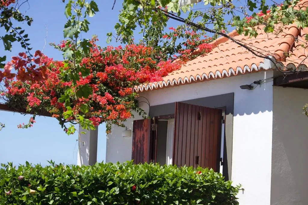 Property building in Faja dos Padres