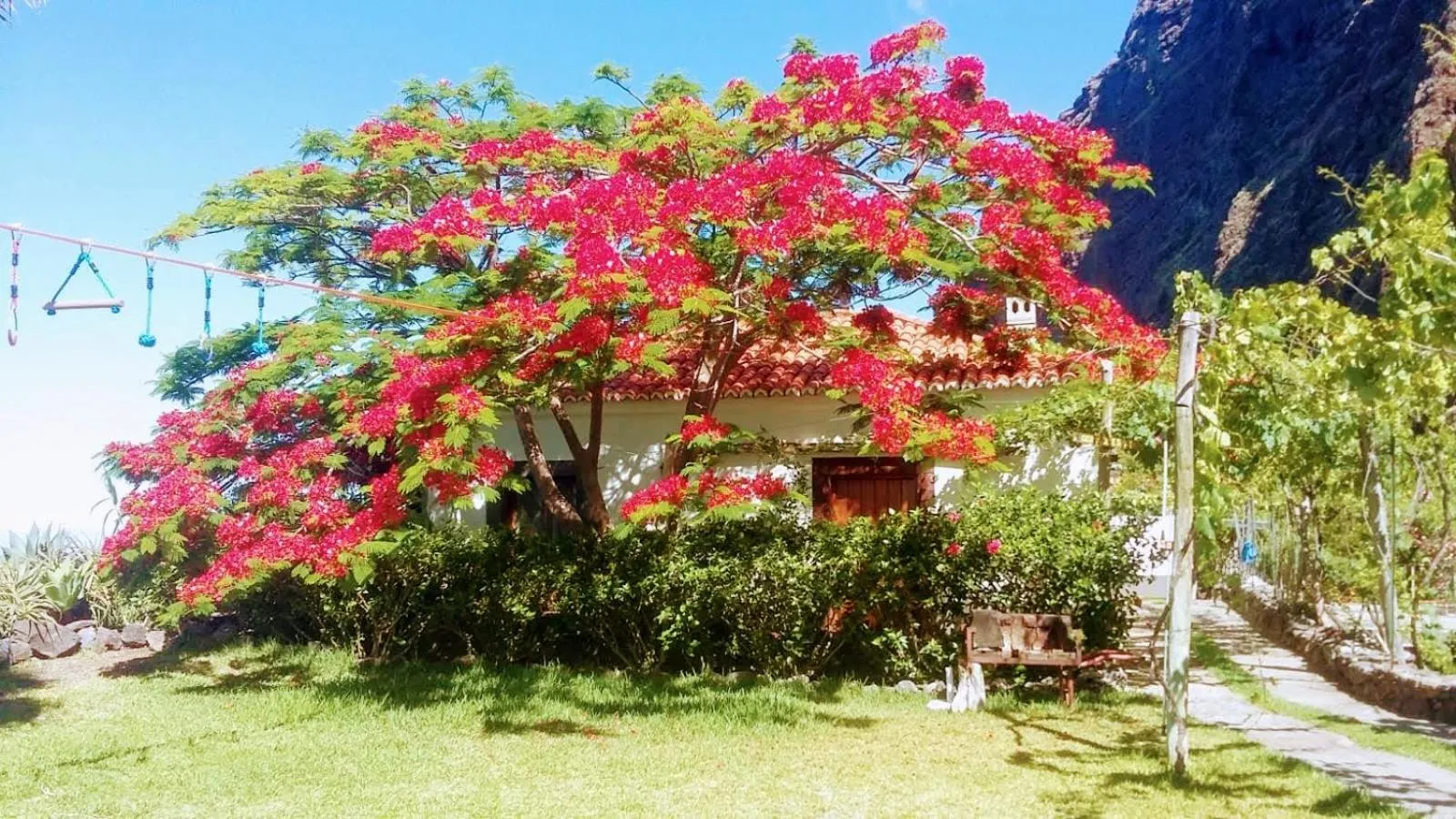Garden in Faja dos Padres