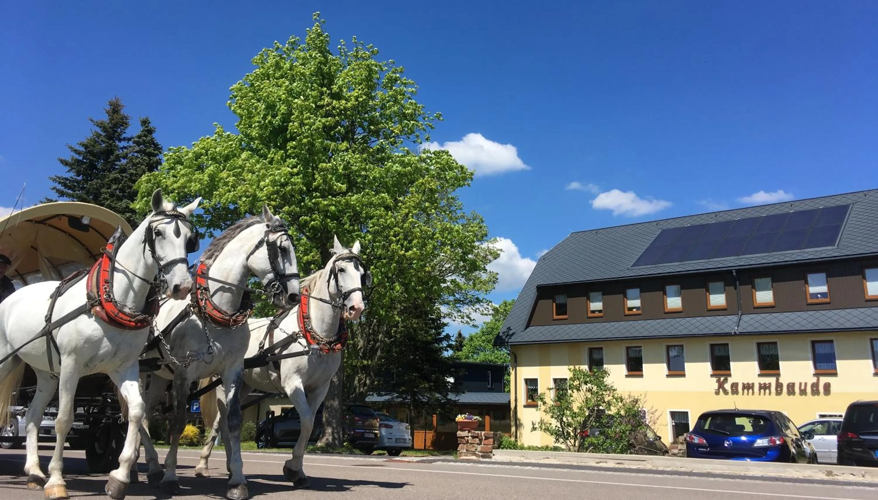 Property building in Hotel Dachsbaude & Kammbaude