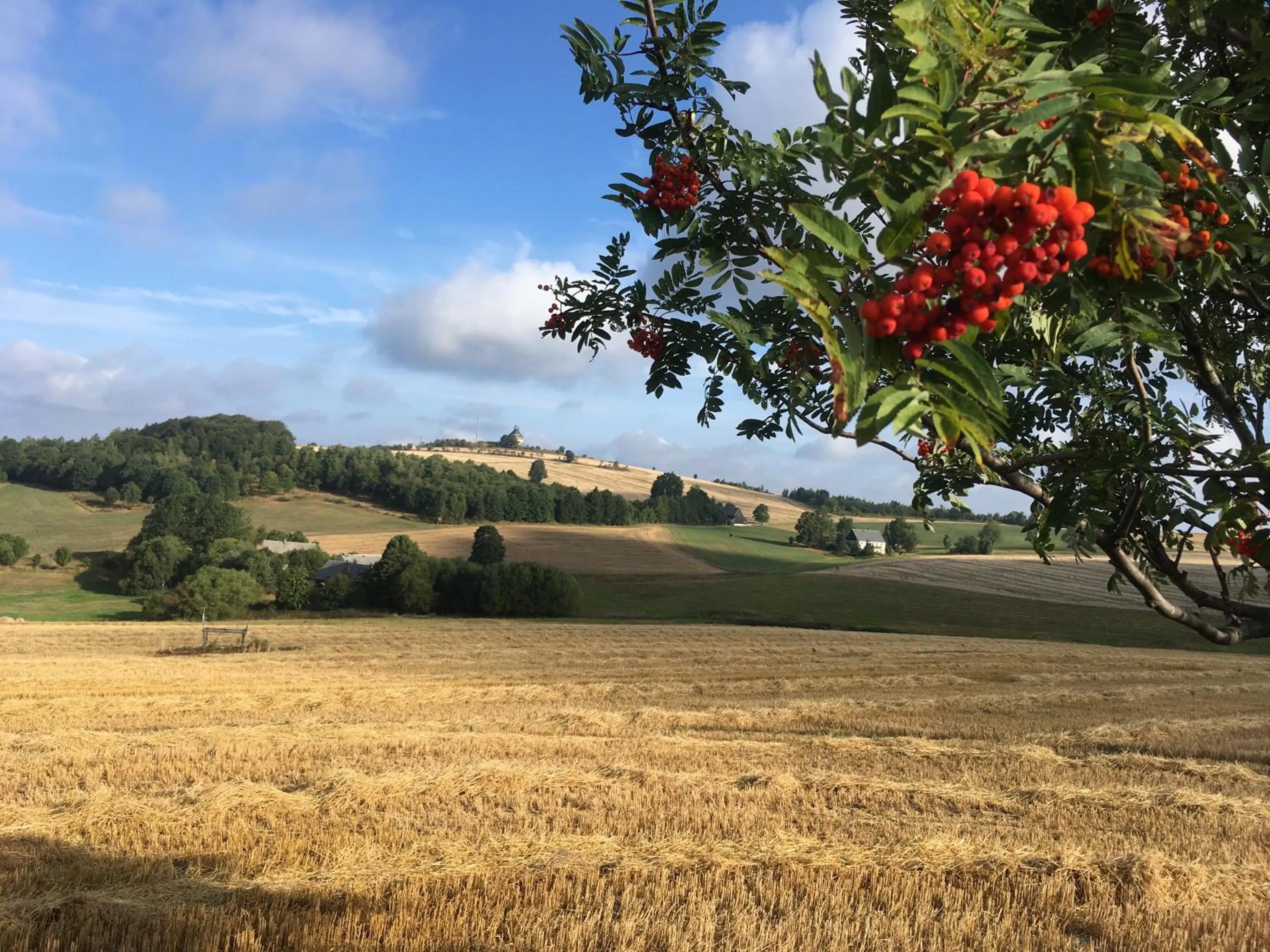 Hiking in Hotel Dachsbaude & Kammbaude