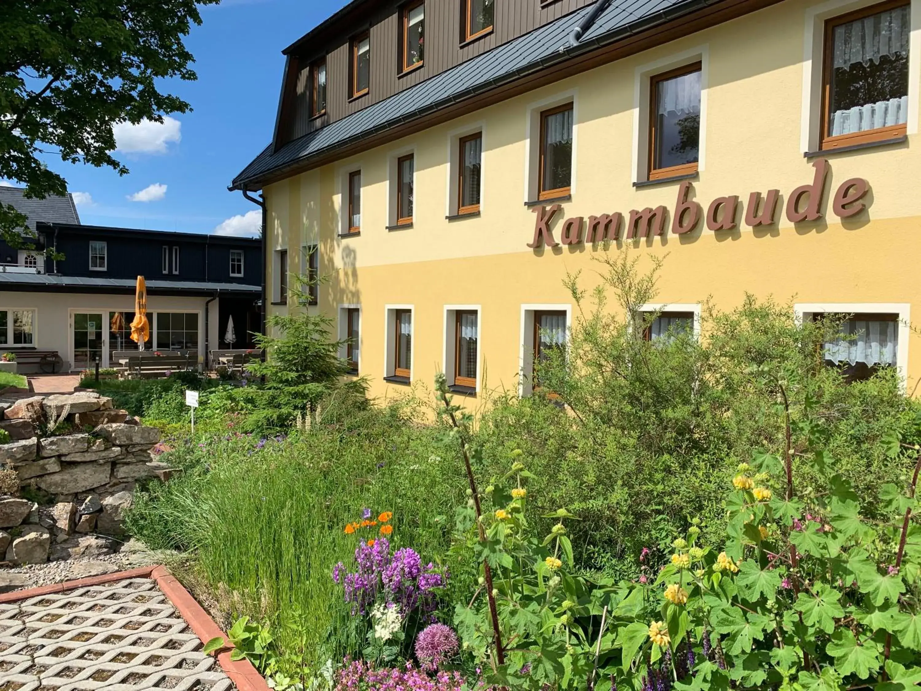Hotel Dachsbaude & Kammbaude Hotel Dachsbaude & Kammbaude