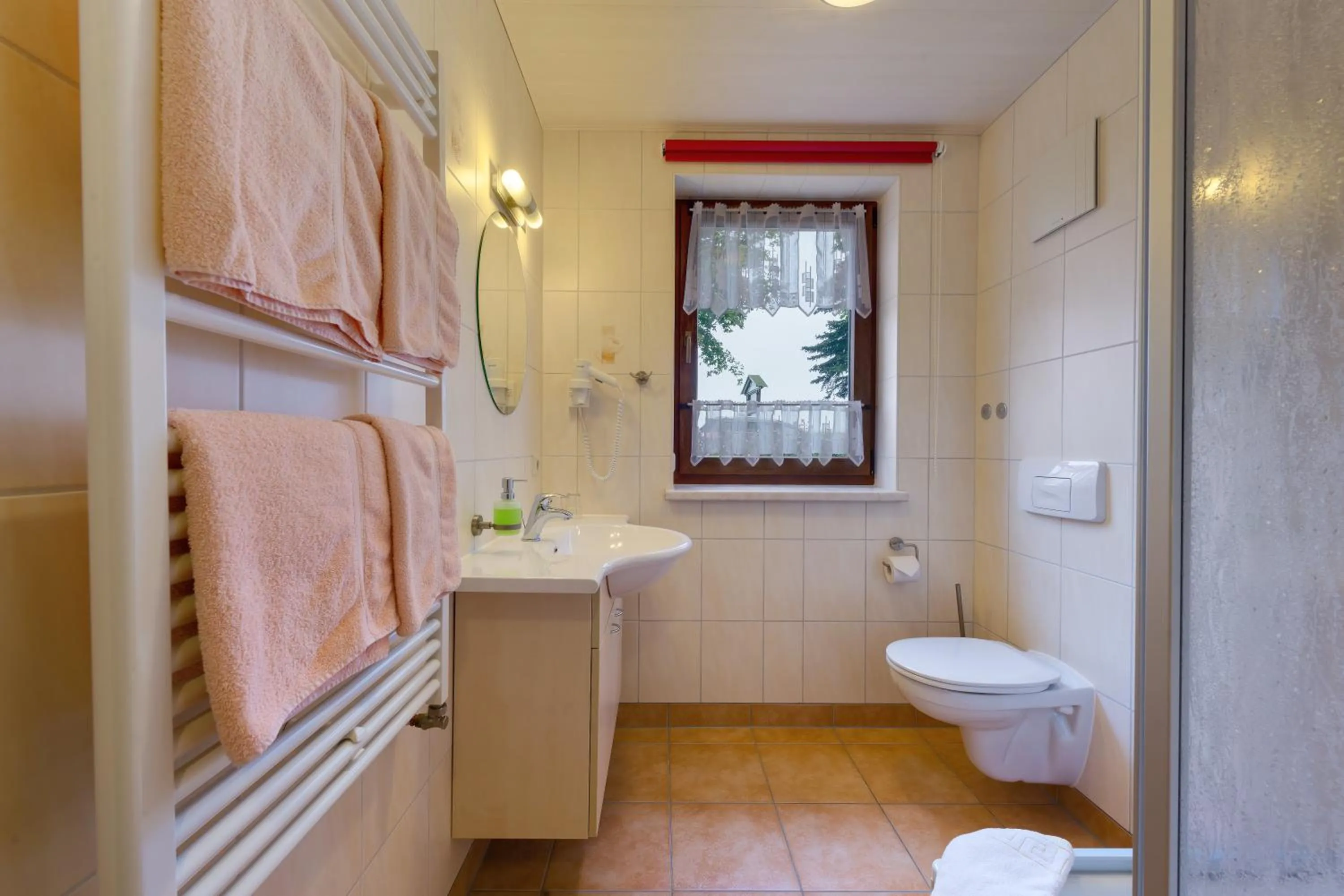 Bathroom in Hotel Dachsbaude & Kammbaude