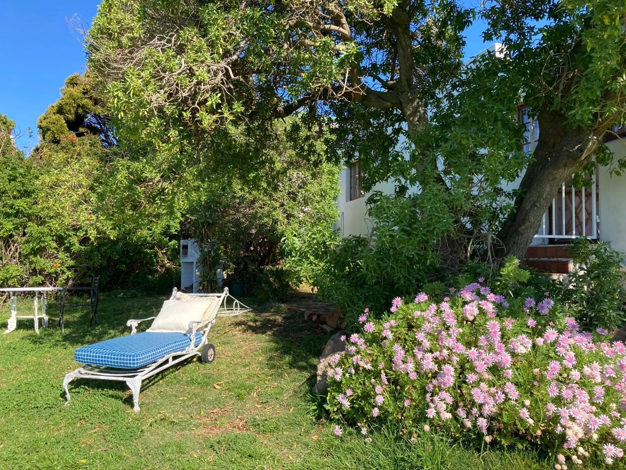 Garden in Bosky Dell on Boulders Beach