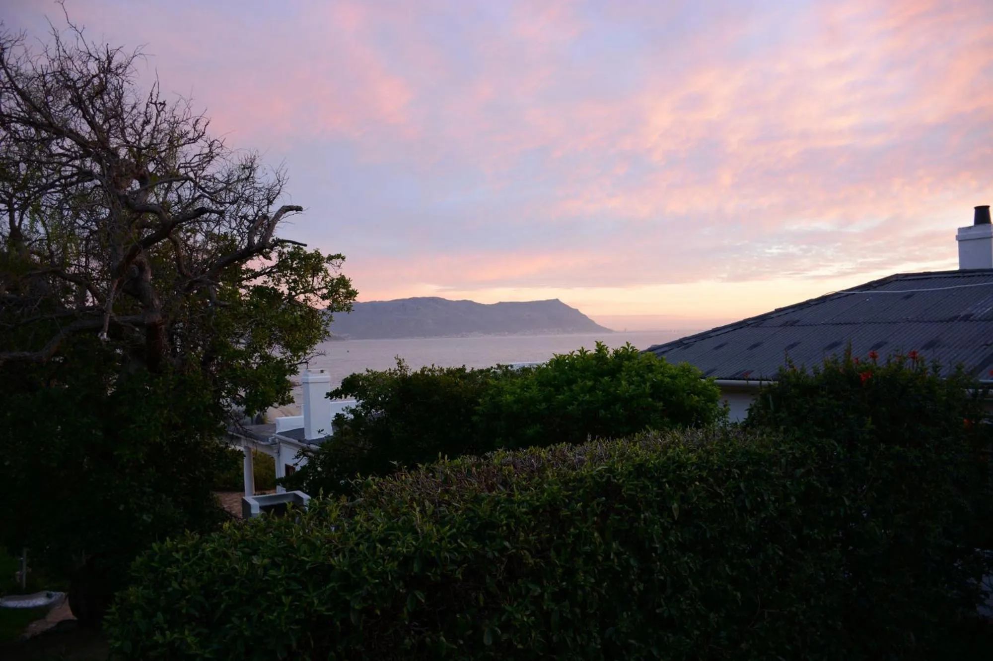 Natural landscape in Bosky Dell on Boulders Beach