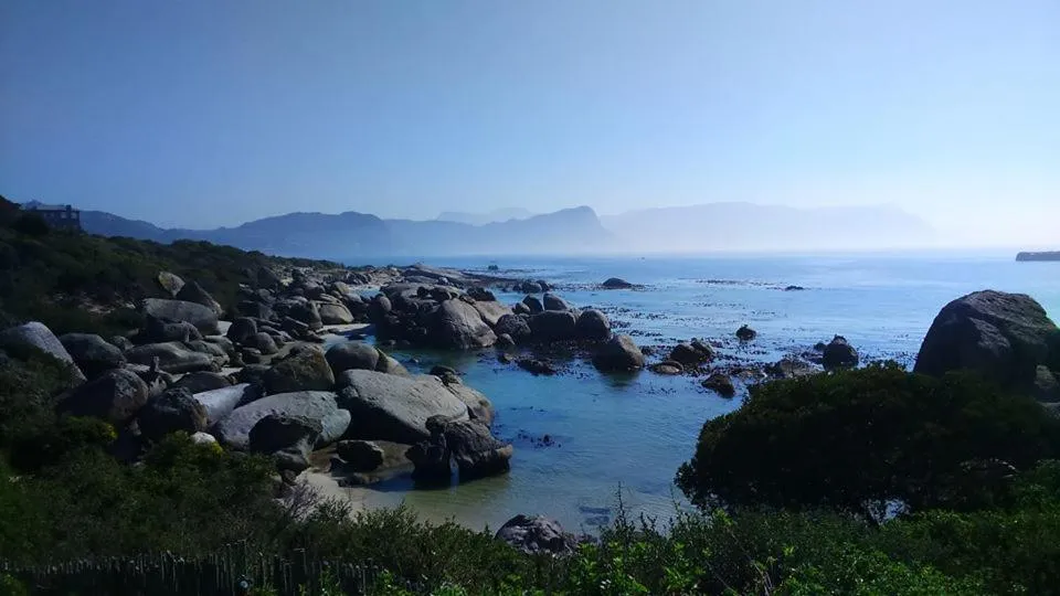 Sea view in Bosky Dell on Boulders Beach