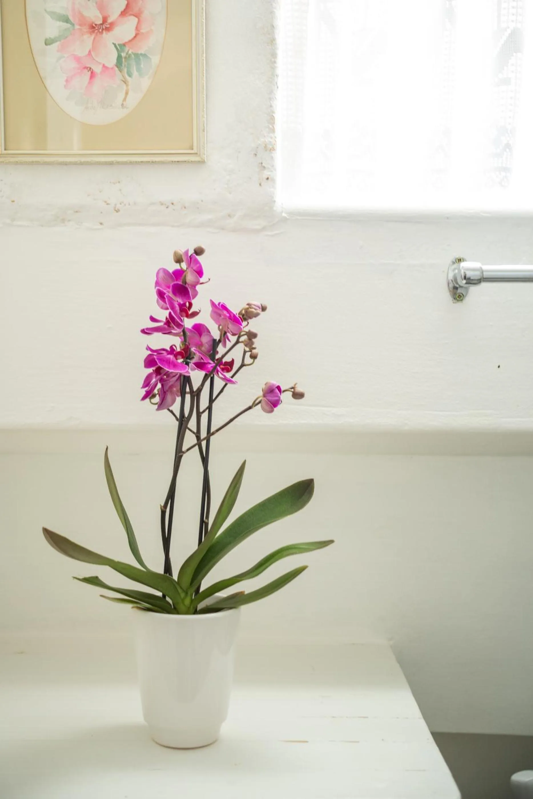 Bathroom in Bosky Dell on Boulders Beach