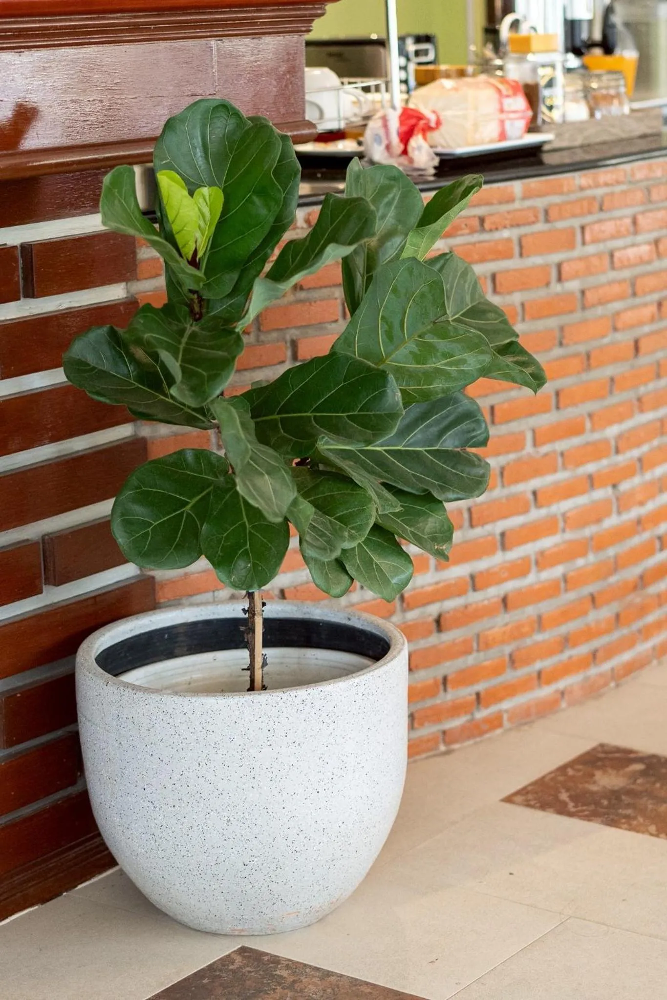 Khon Kaen Orchid Hotel