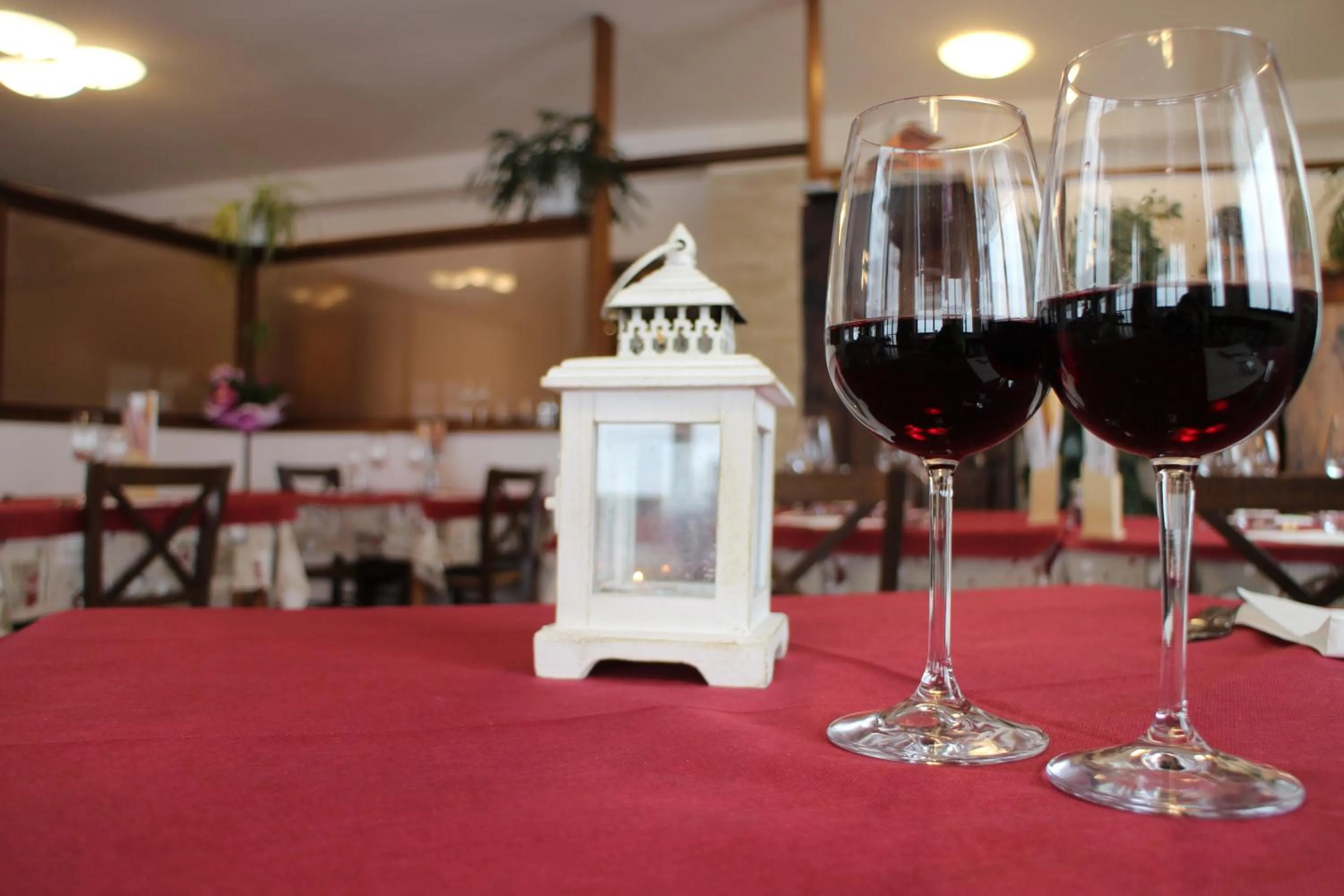 Restaurant/places to eat in Da Cecilia