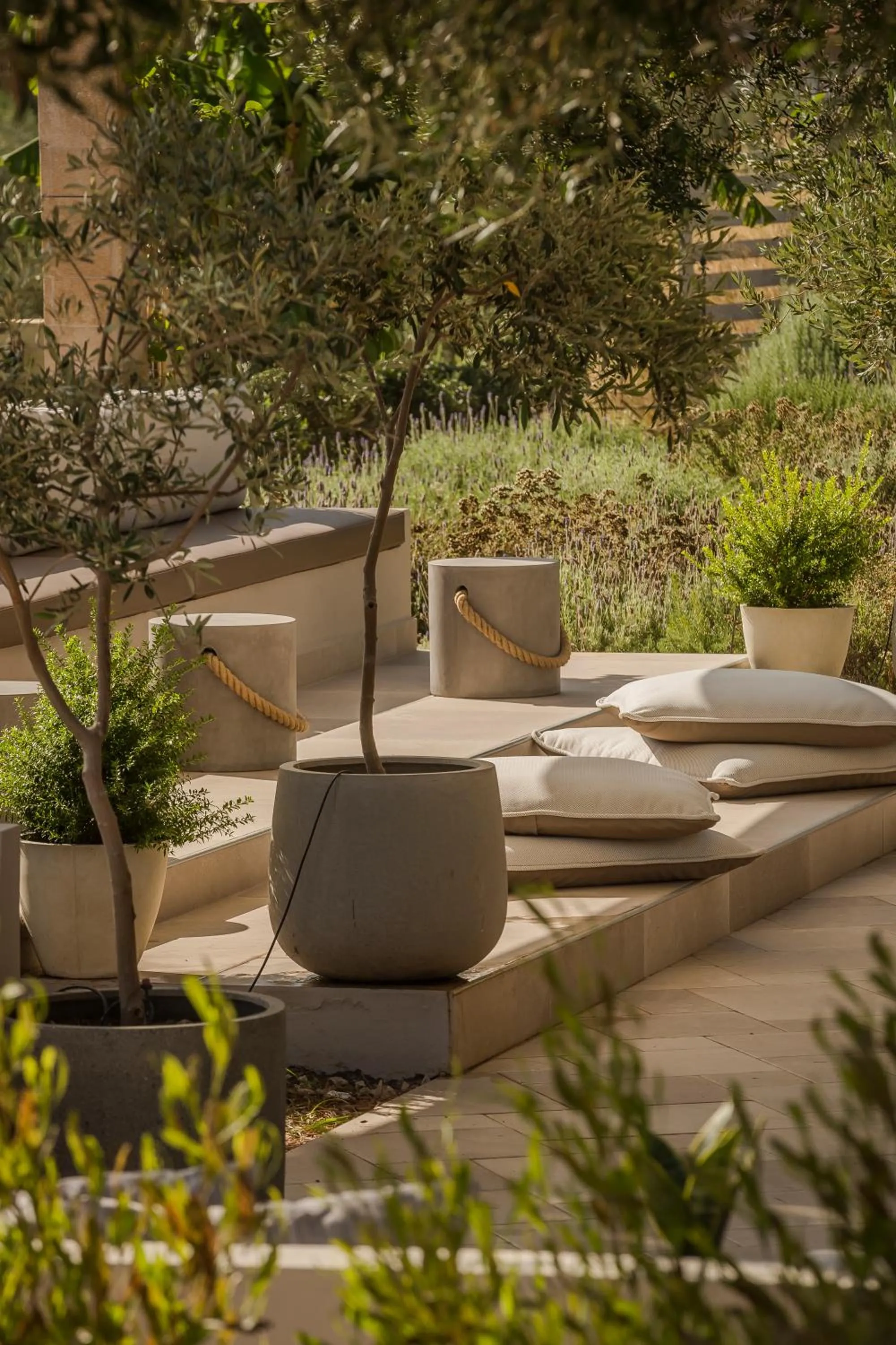 Thalassa Boutique Hotel - Adults Only