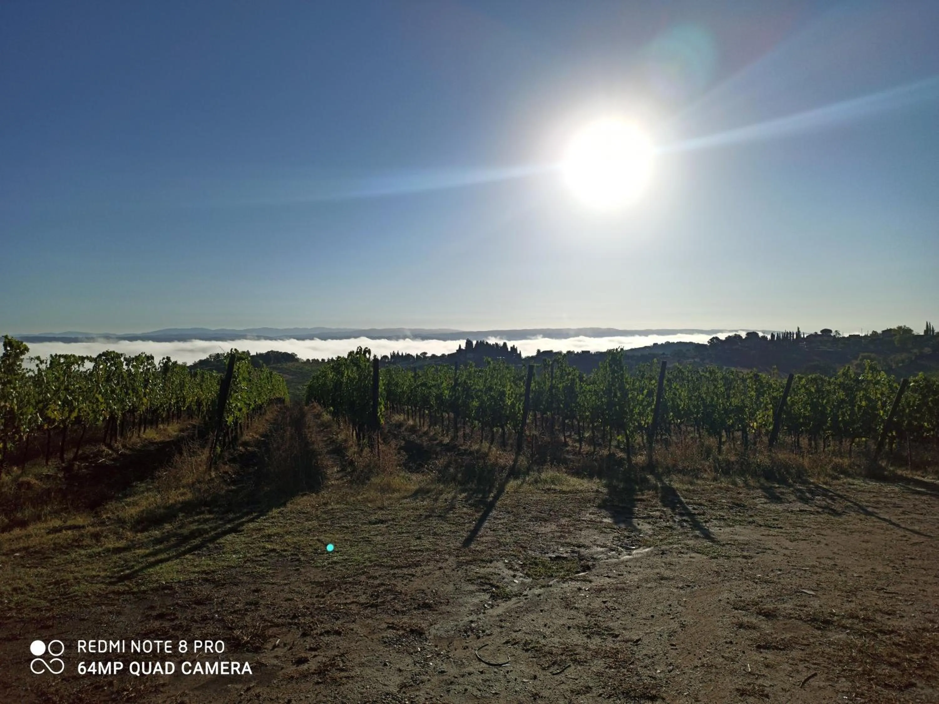 Property building in Rocca degli Olivi