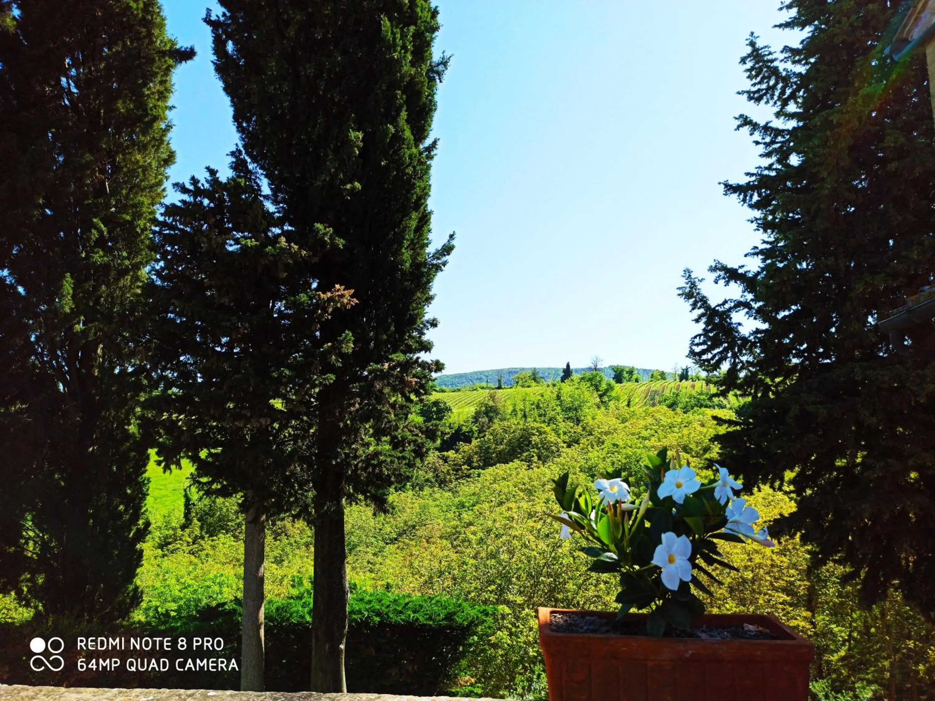 Garden view in Rocca degli Olivi