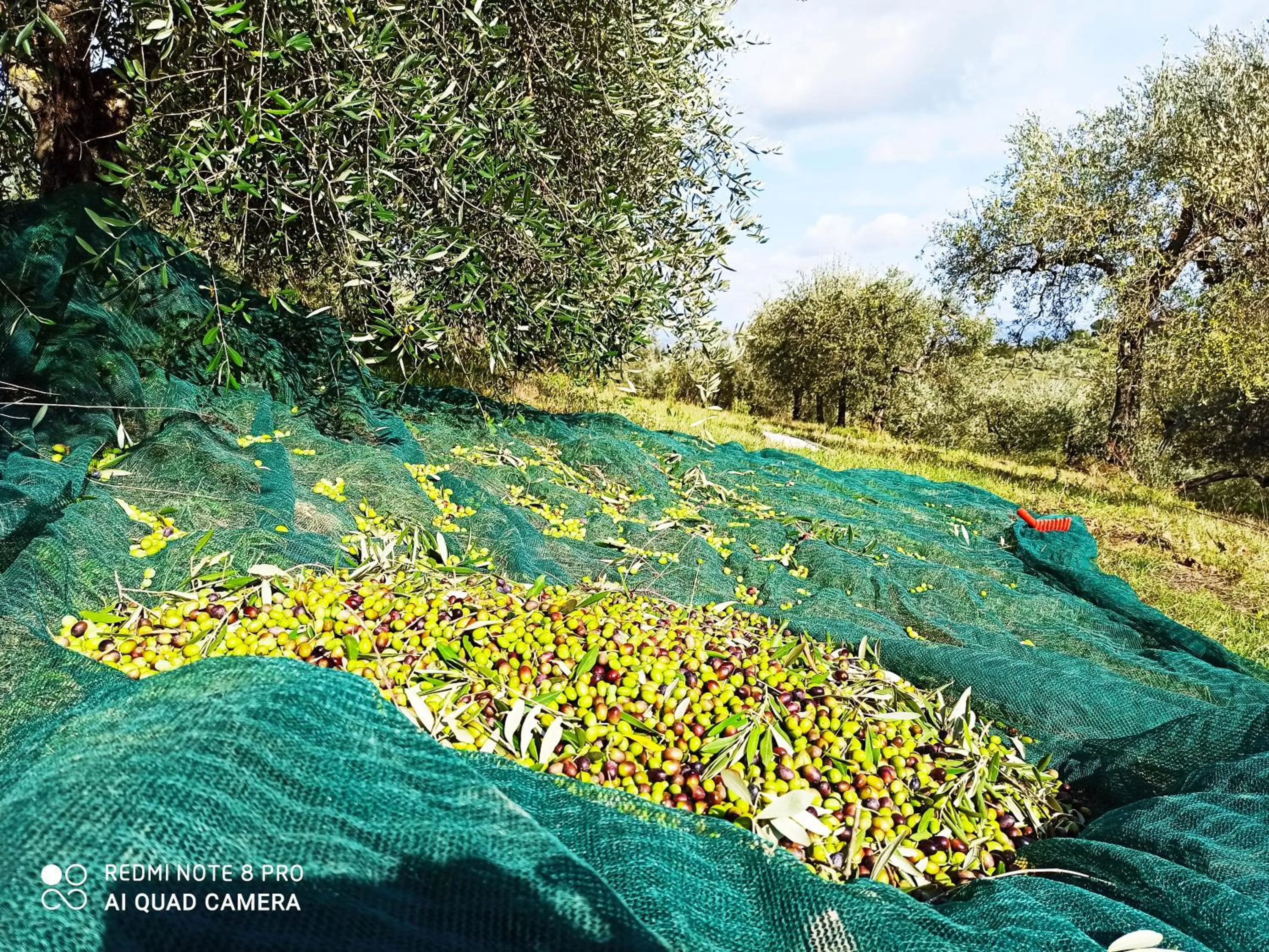 Property building in Rocca degli Olivi