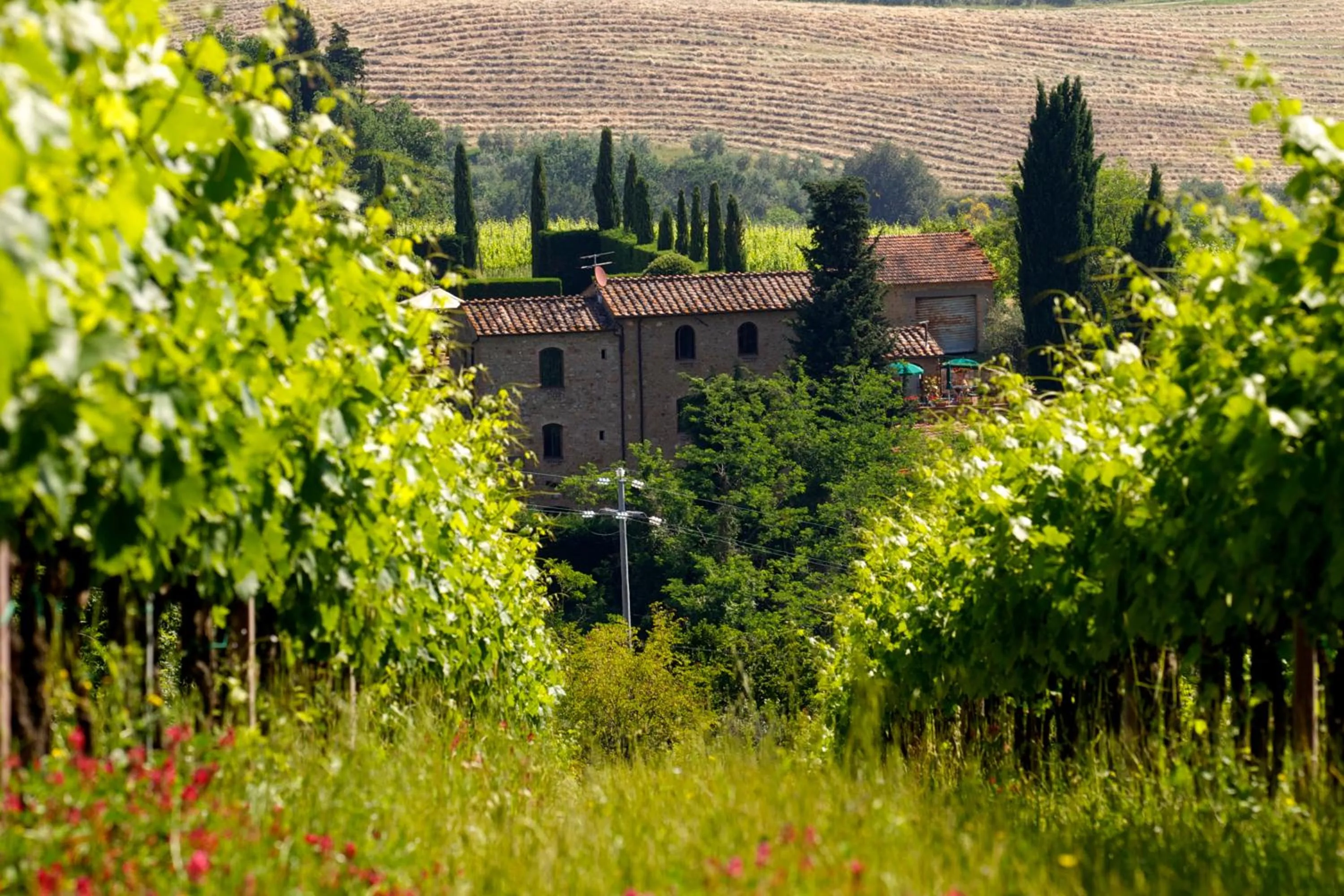 Property building in Rocca degli Olivi