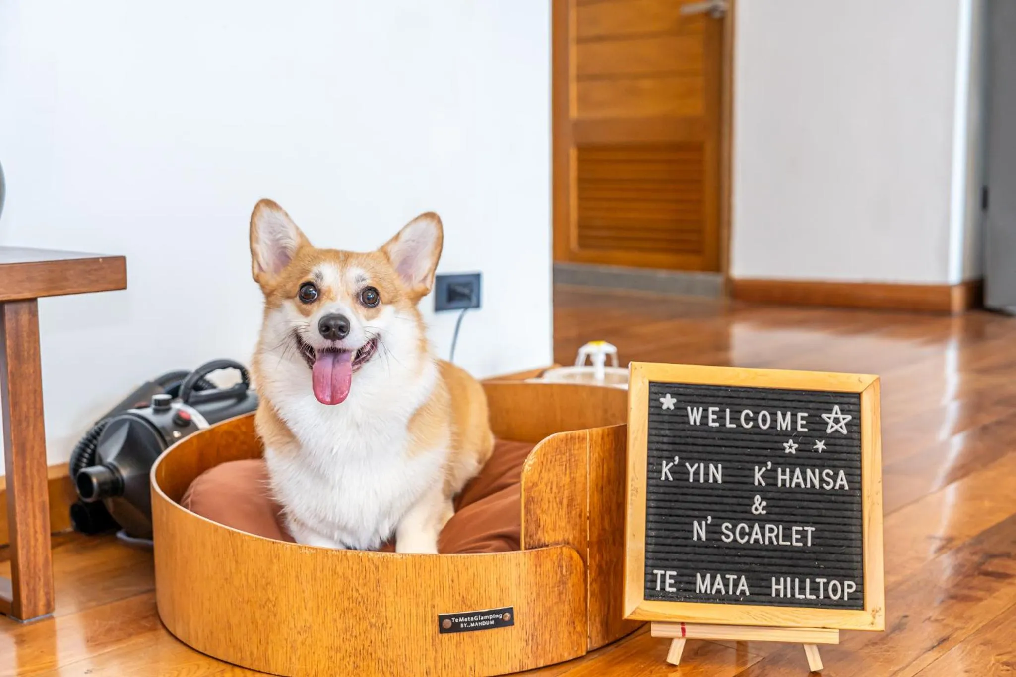 Pets in Te Mata Glamping