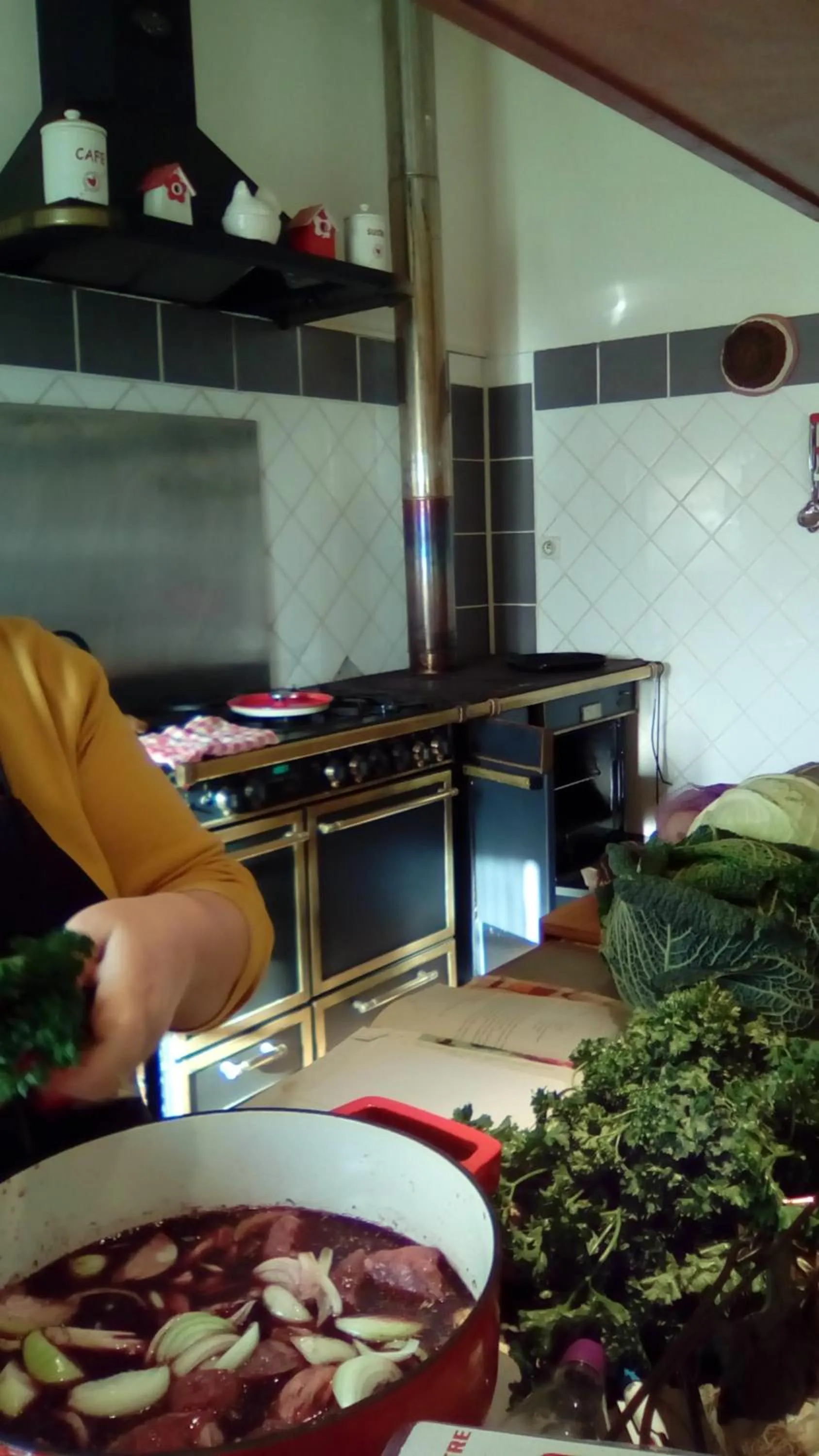 Kitchen or kitchenette in La Metairie du Pont