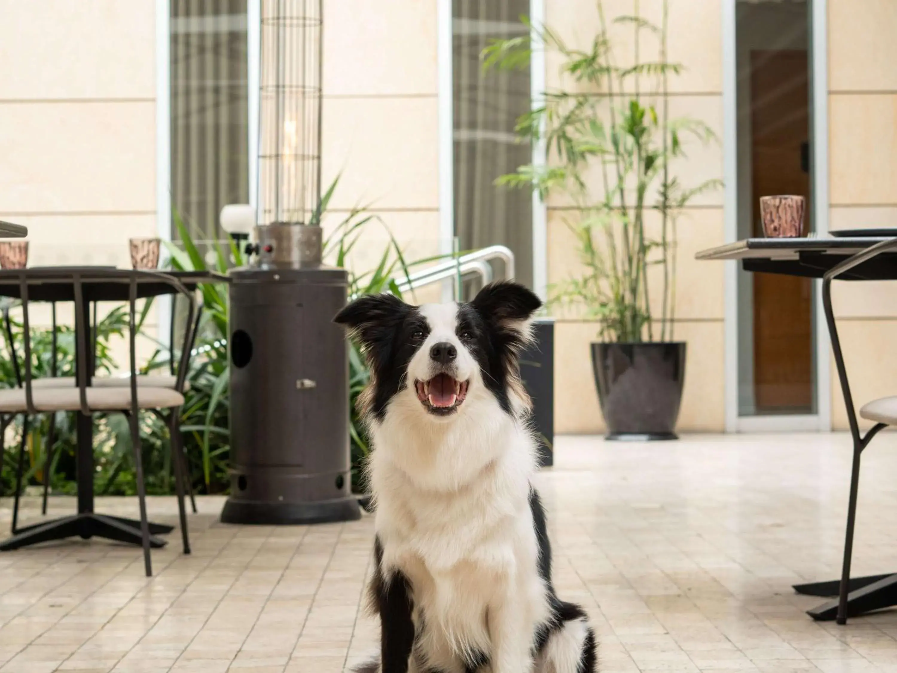 Property building in Pullman Lima San Isidro Property building in Pullman Lima San Isidro