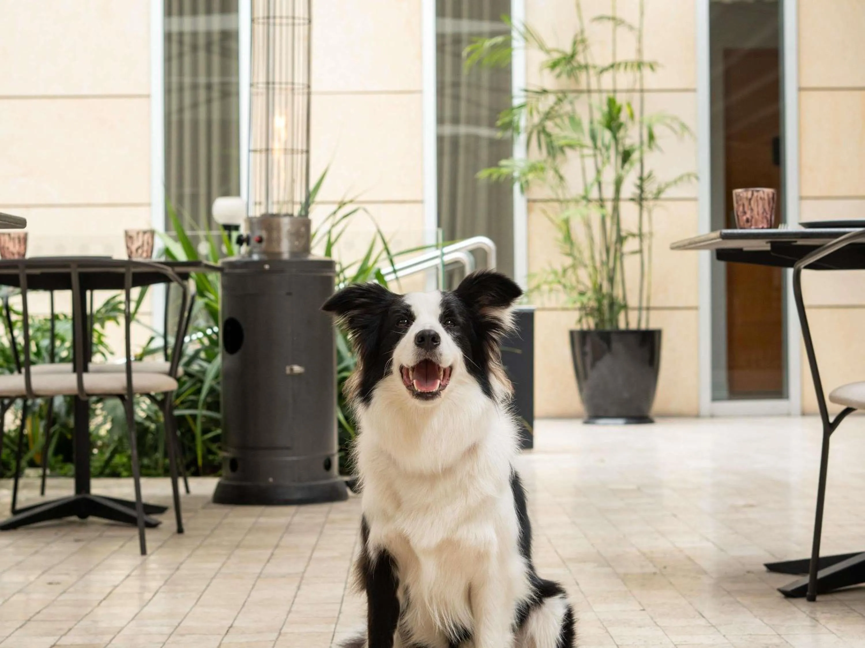 Other in Pullman Lima San Isidro