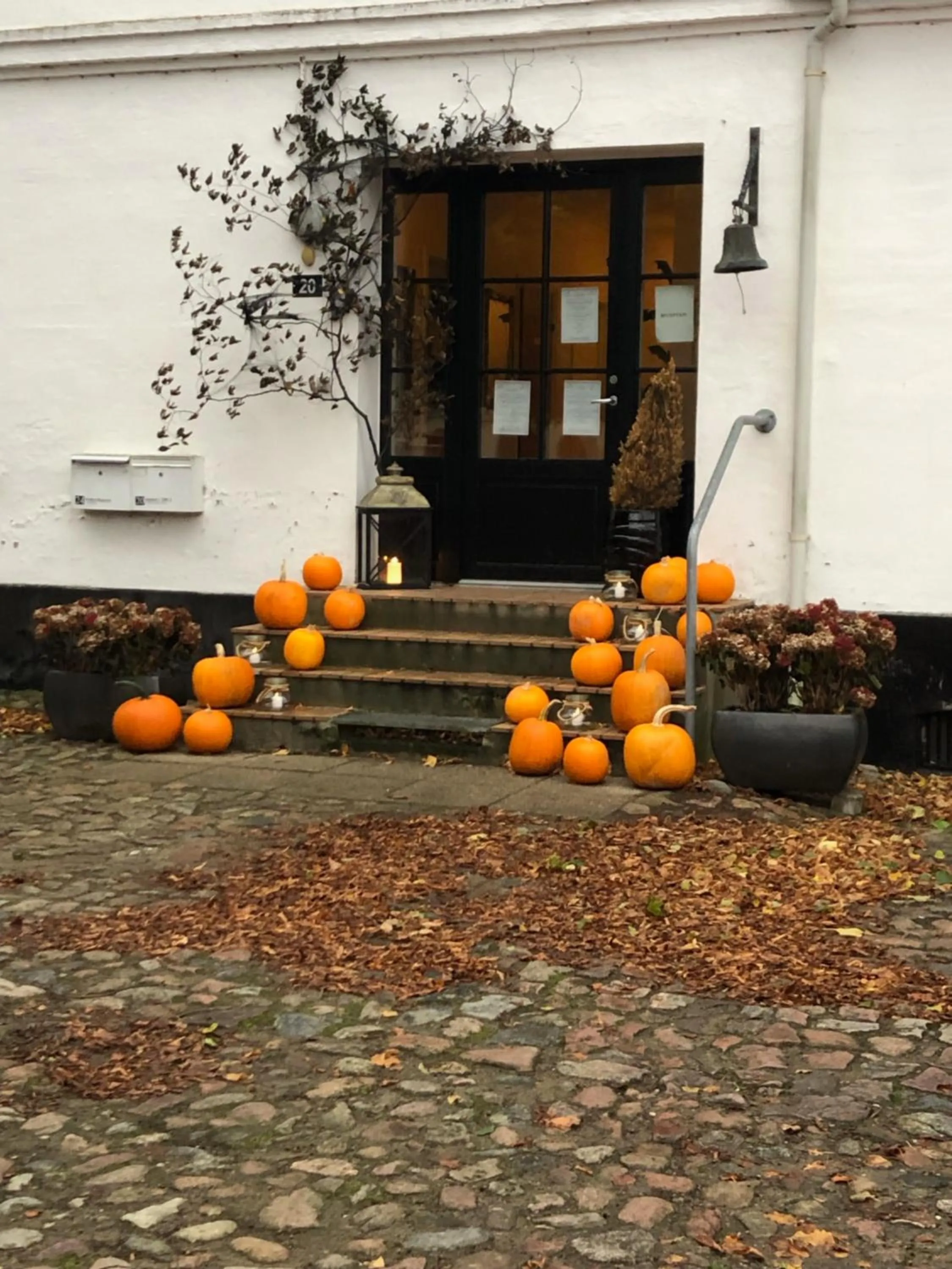 Property building in Rønhave