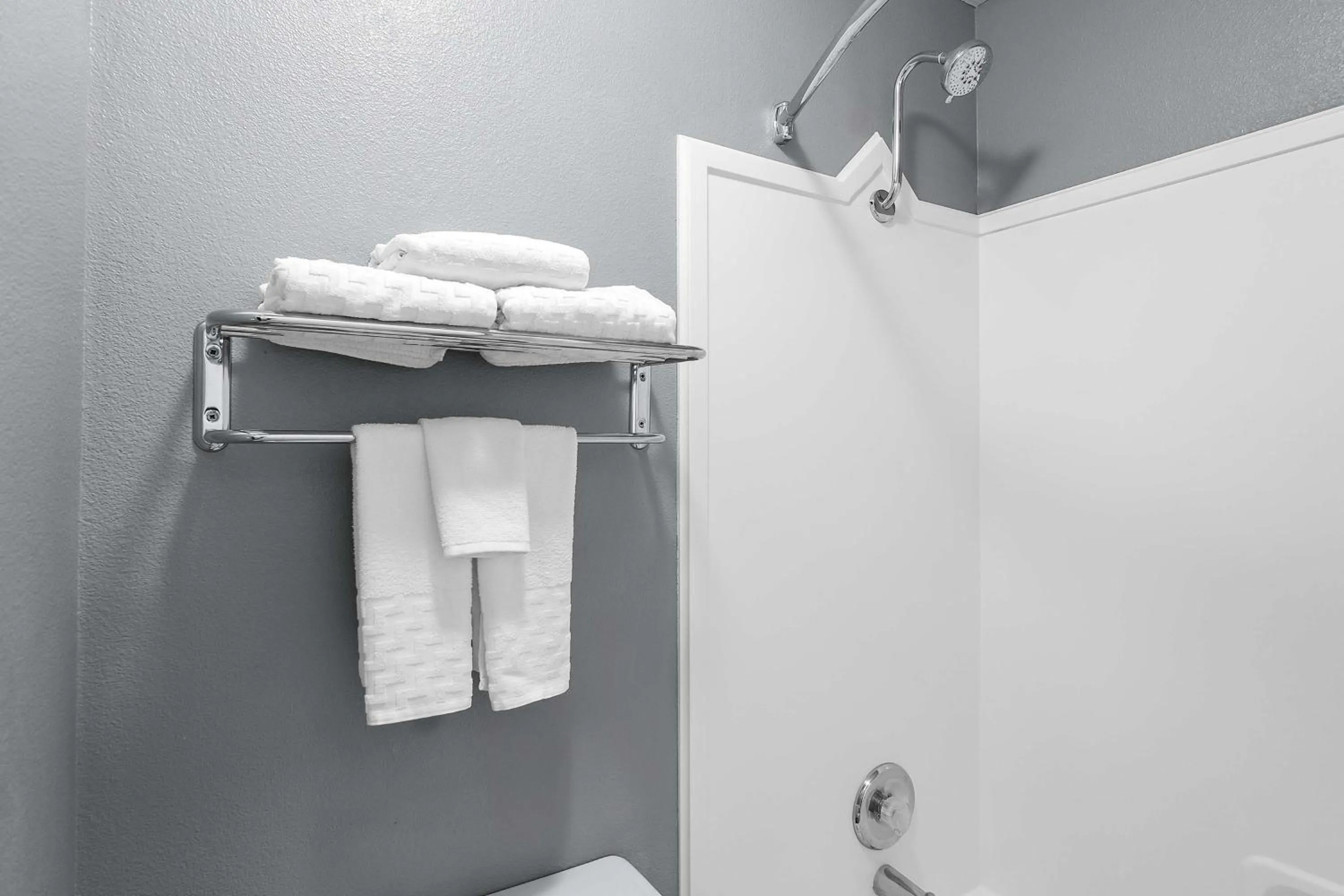 Bathroom in Best Western Pocatello Inn