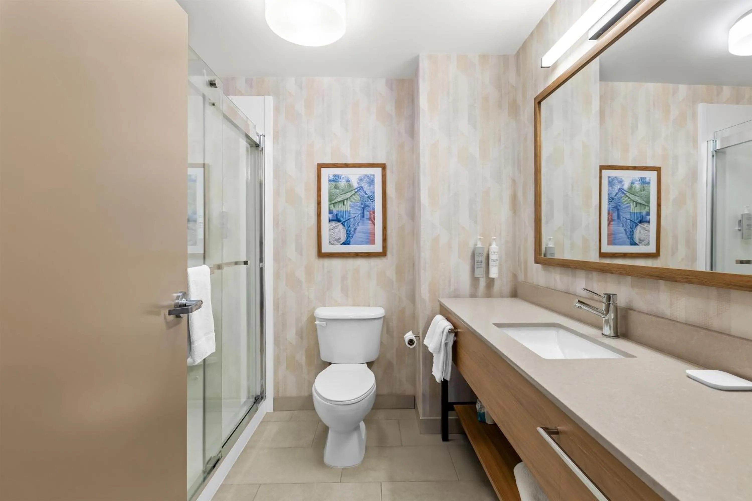 Bathroom in Hampton Inn Carrollton