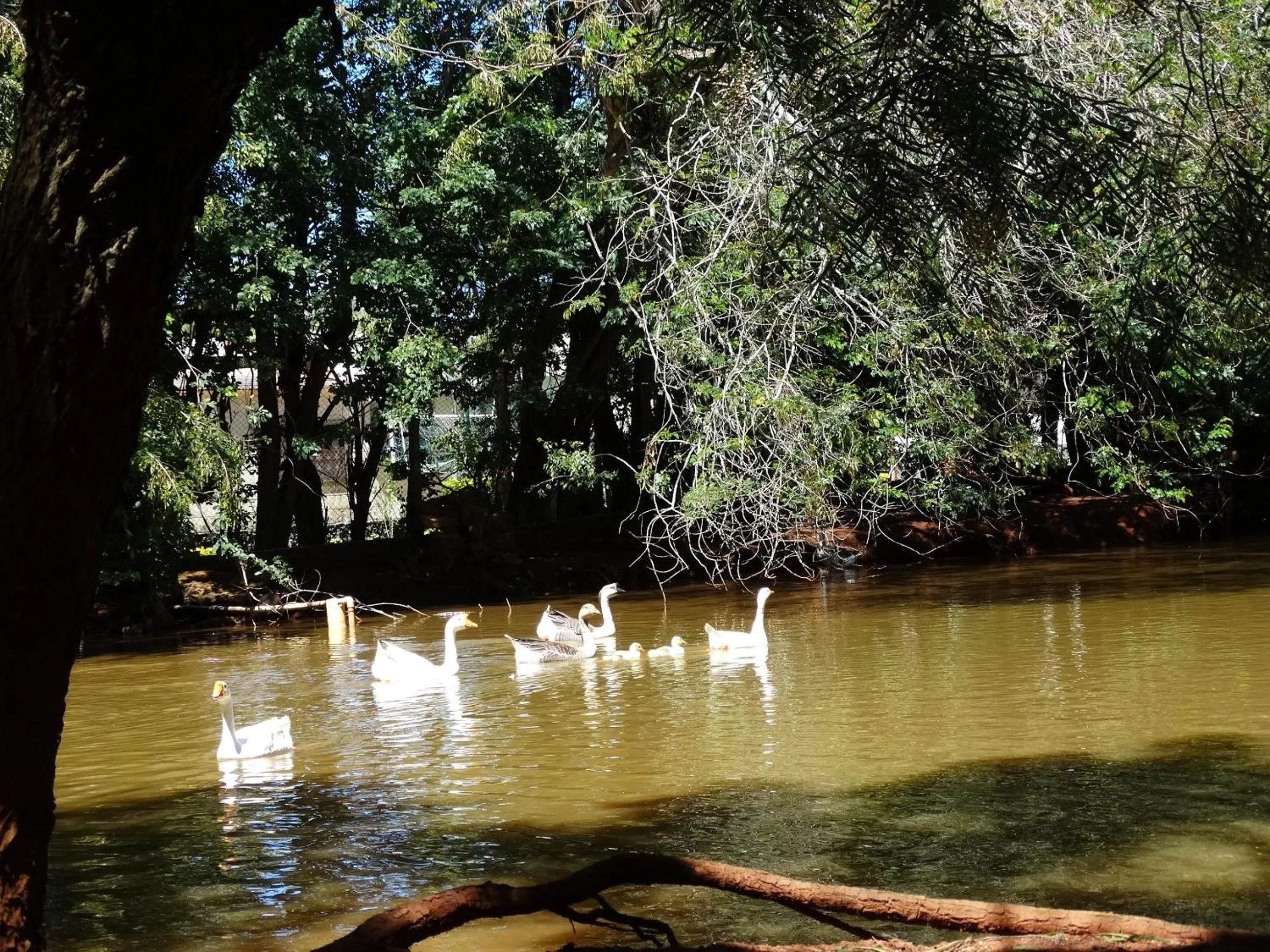 Fishing in Villa Verde Hotel