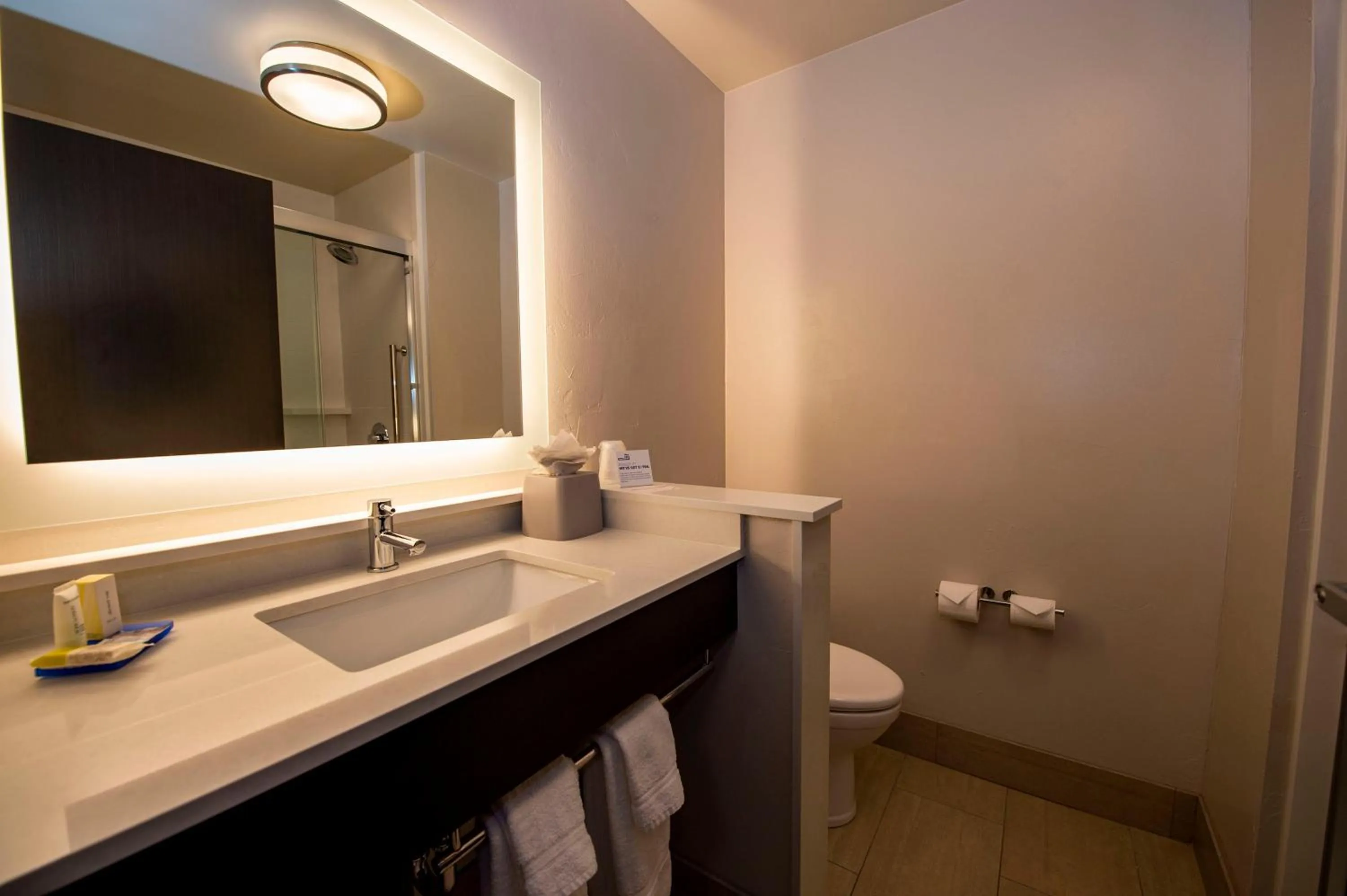 Bathroom in Holiday Inn Express & Suites - Colorado Springs AFA Northgate by IHG