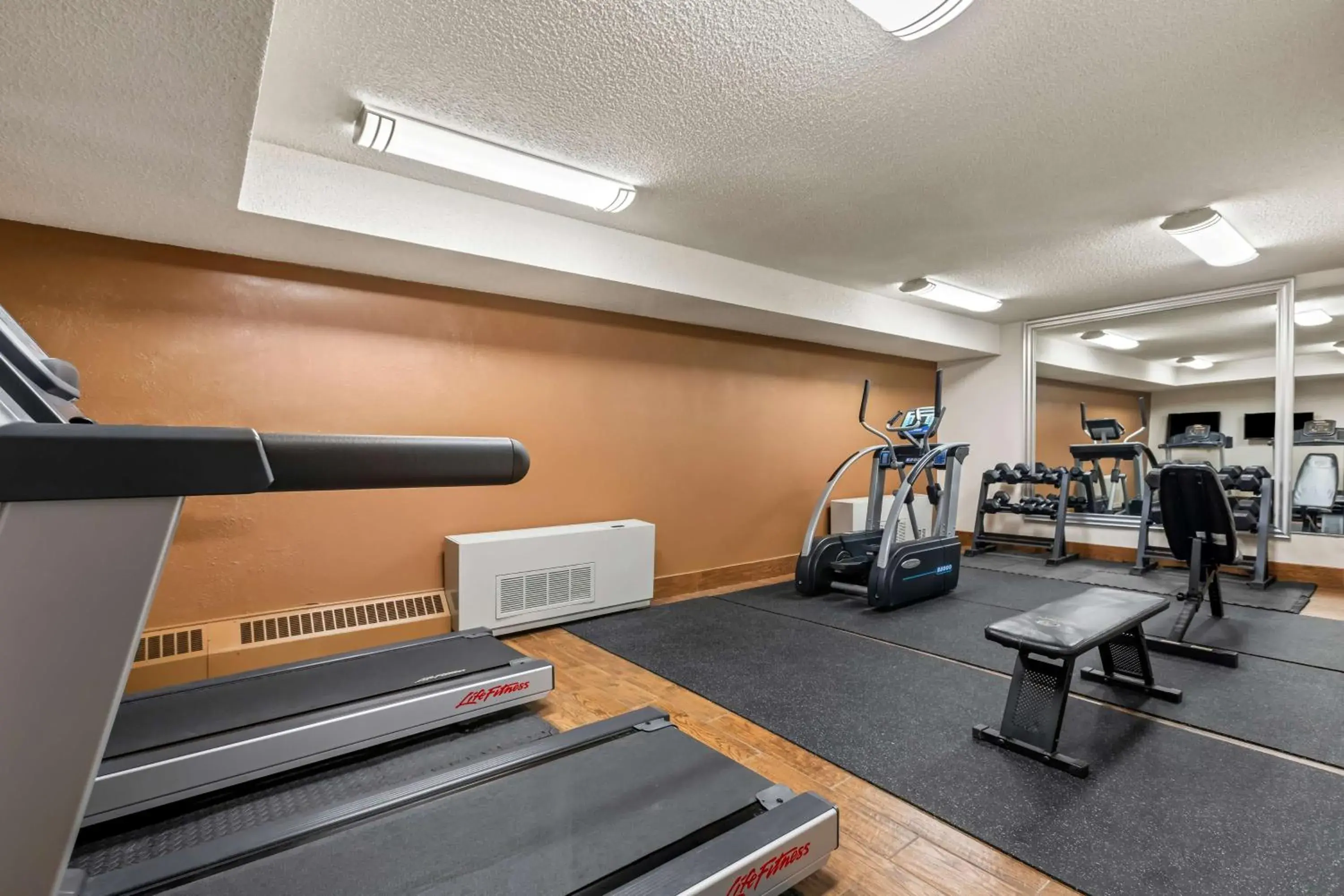 Fitness centre/facilities in Best Western Tower West Lodge Fitness centre/facilities in Best Western Tower West Lodge