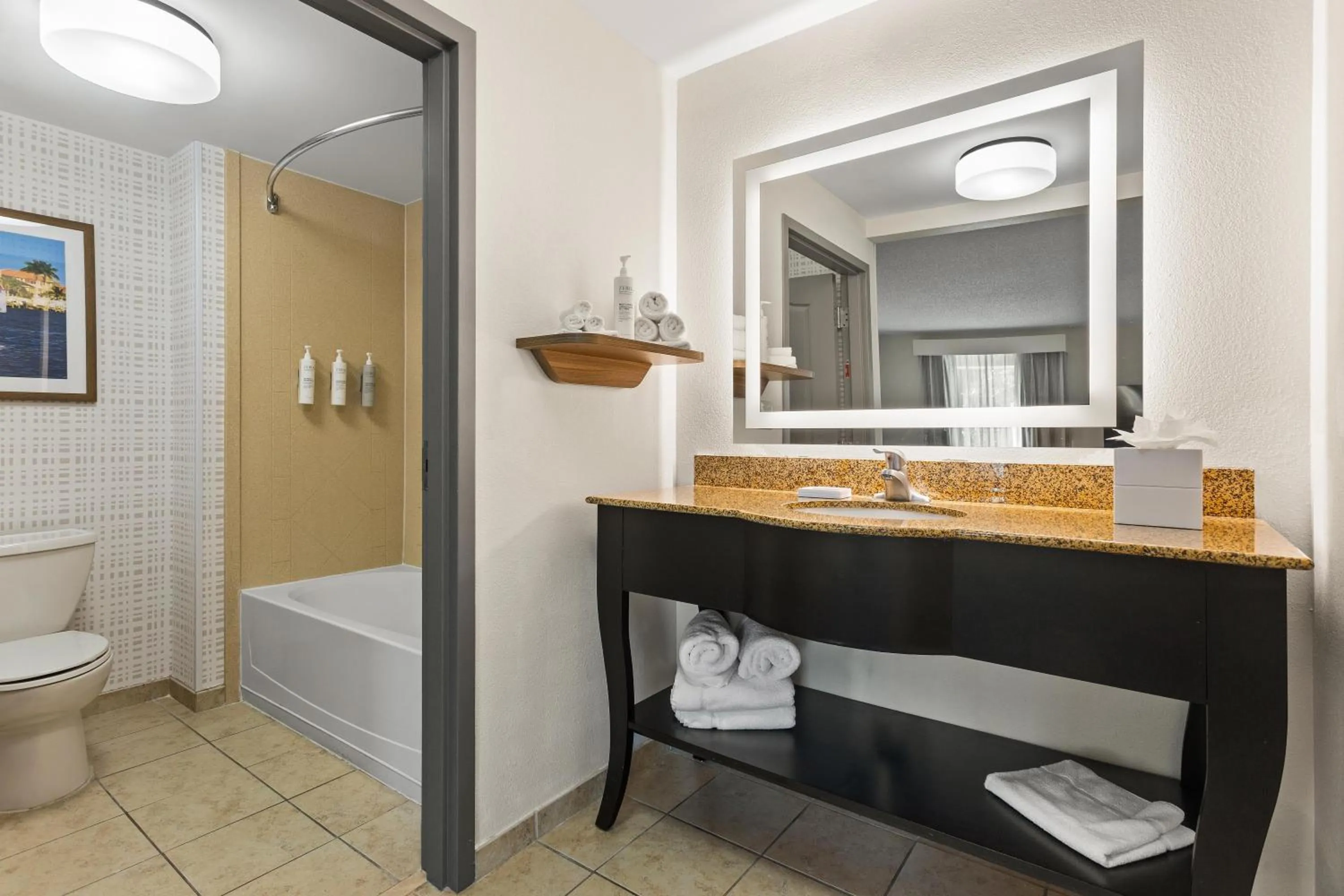 Bathroom in Hampton Inn & Suites Port Richey