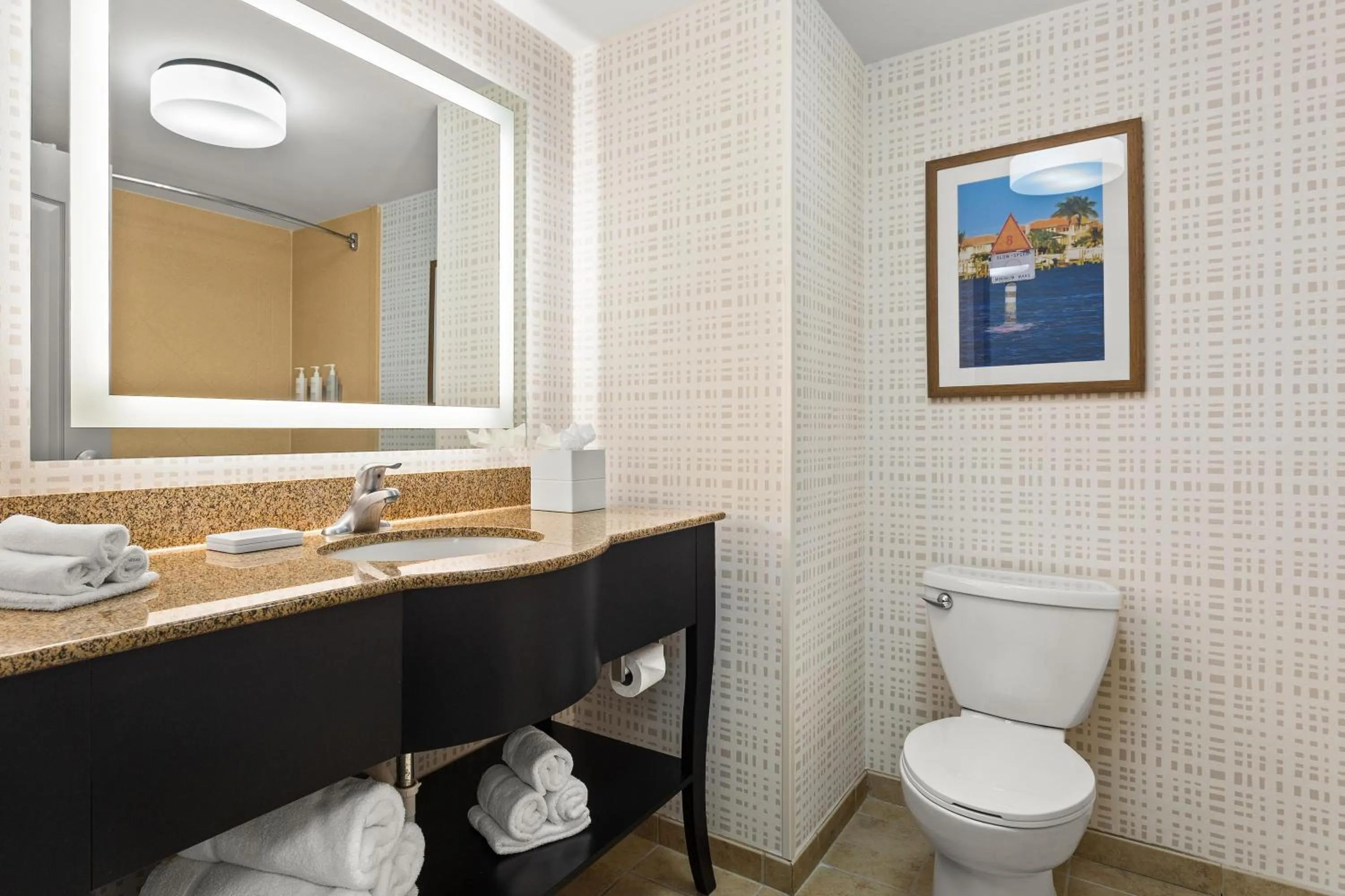 Bathroom in Hampton Inn & Suites Port Richey