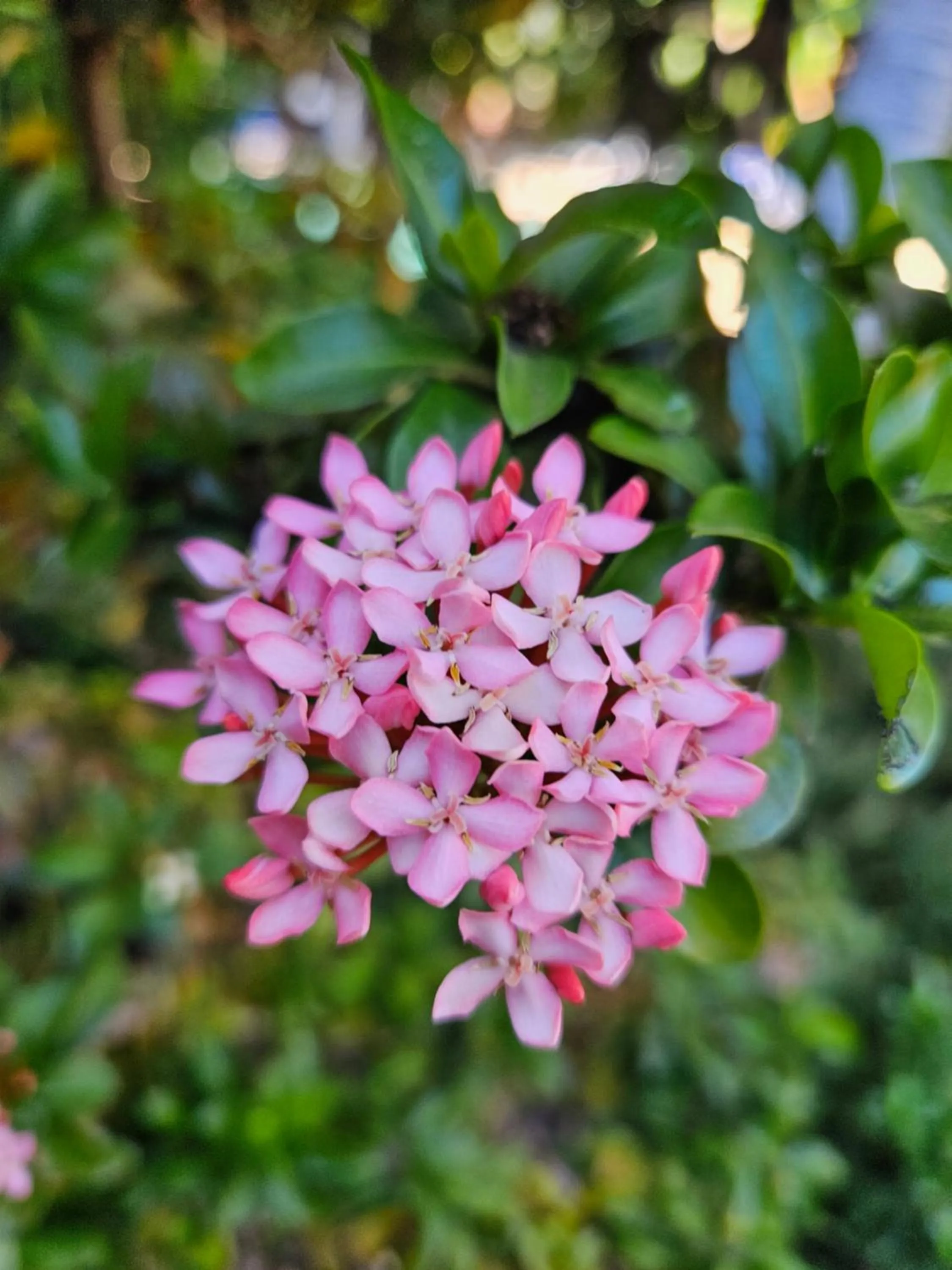 Natural landscape in Broome Time Resort