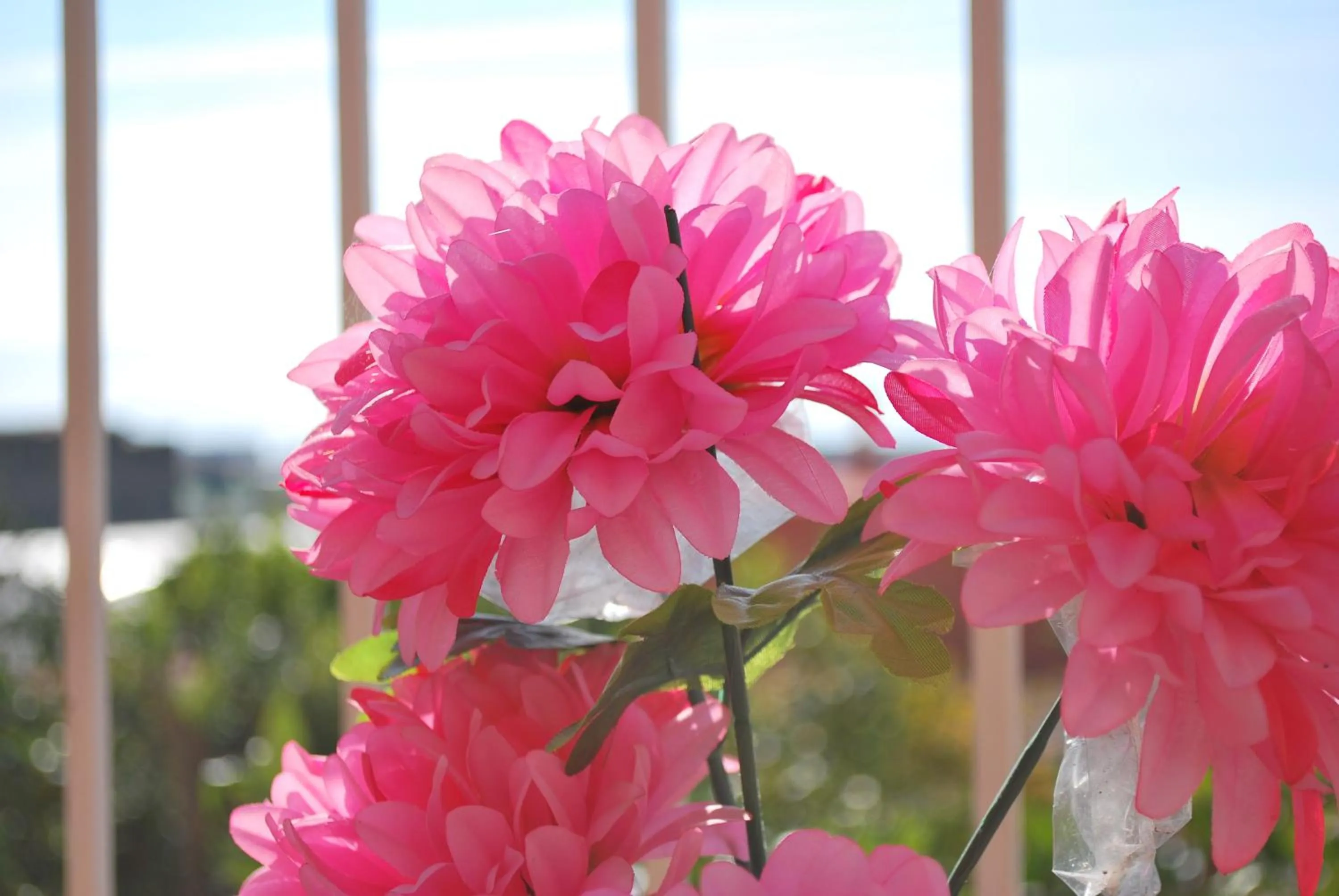 Activities in I Papiri B&B Aparthotel