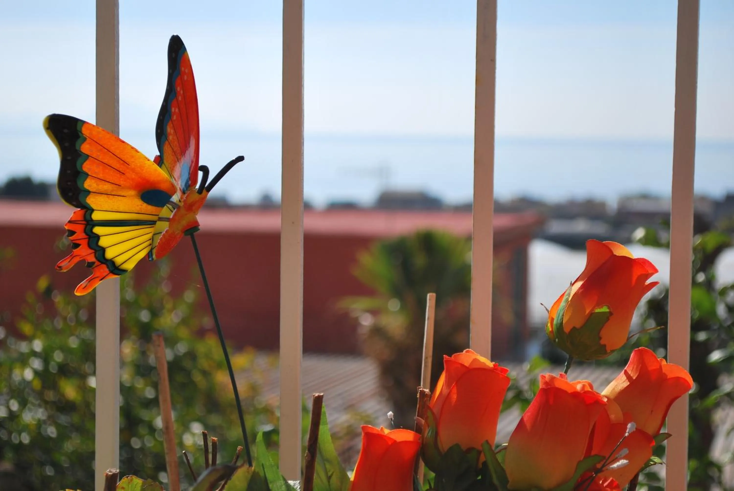 Bird's eye view in I Papiri B&B Aparthotel