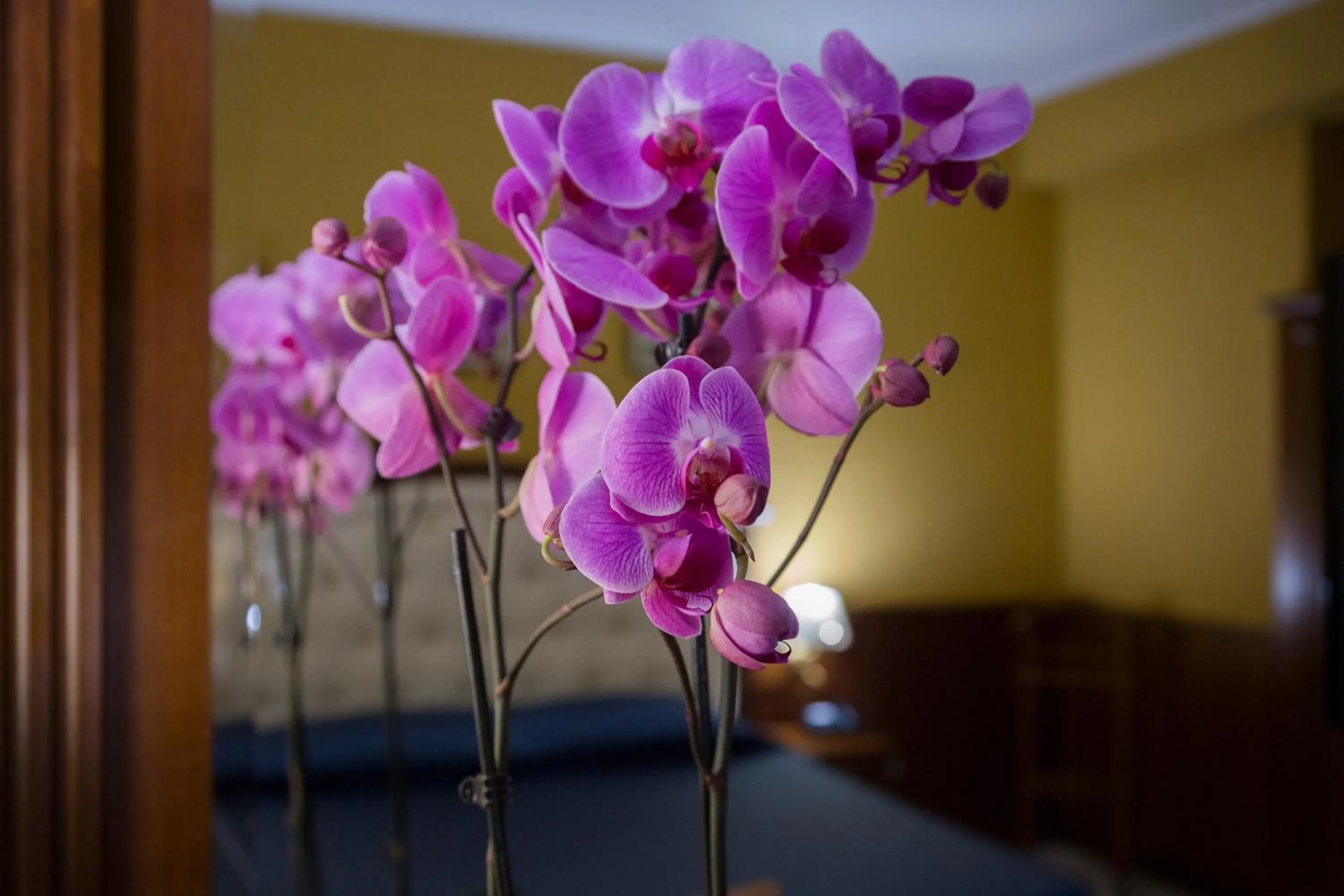 Decorative detail, Bed in Hotel San Michele