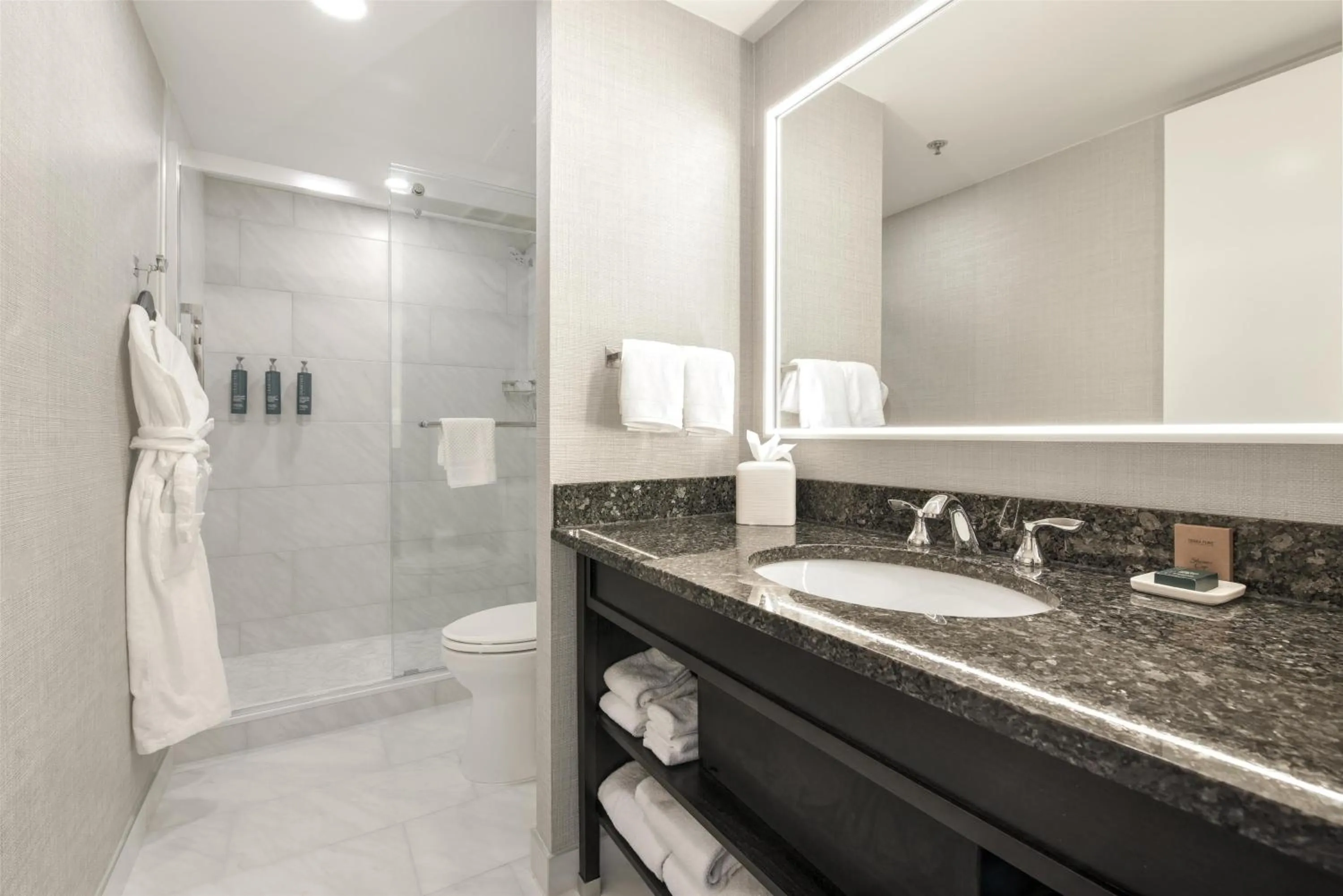 Bathroom in Capital Hilton