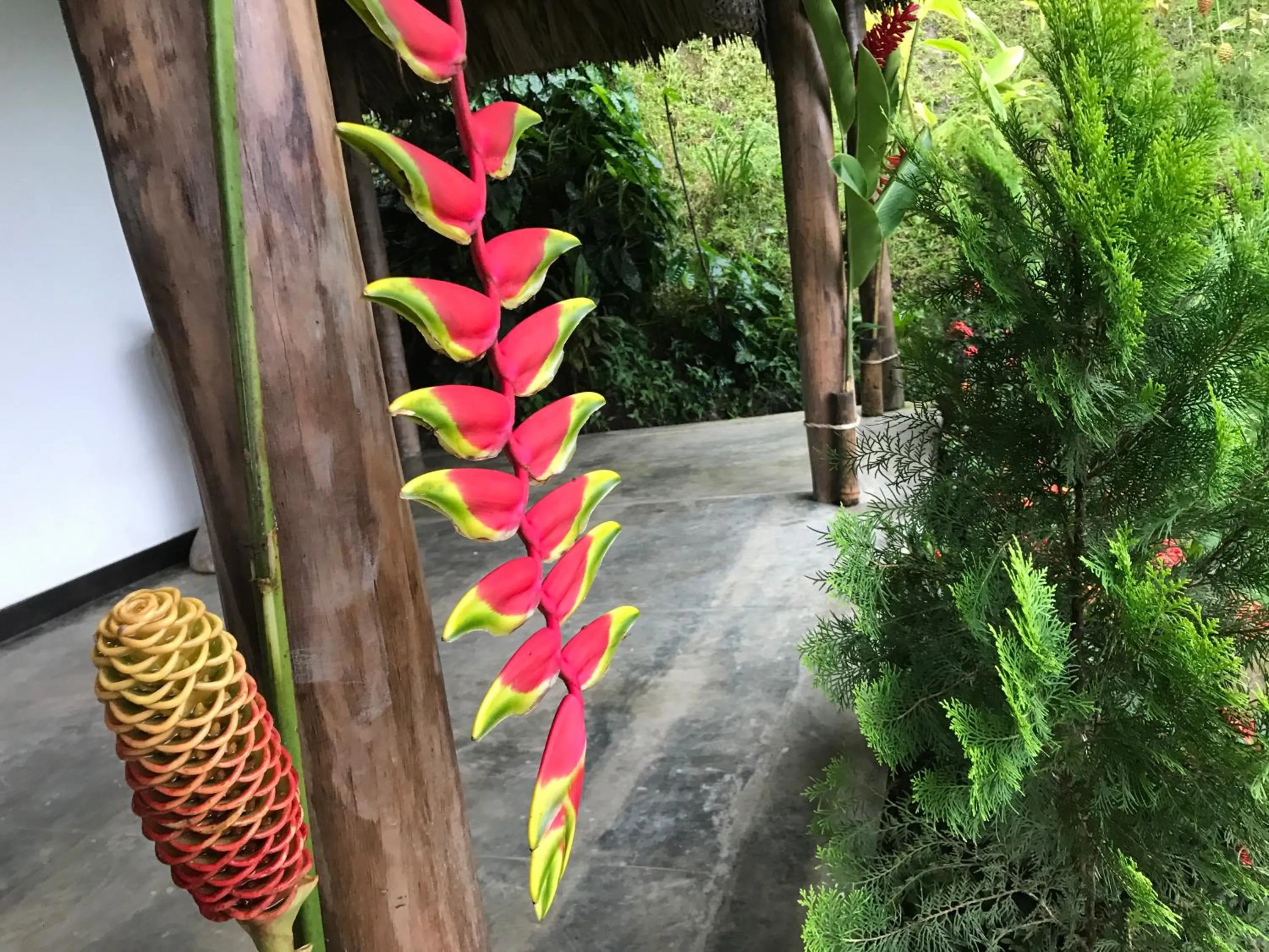 Balcony/Terrace in Reserva Natural Tierra Adentro