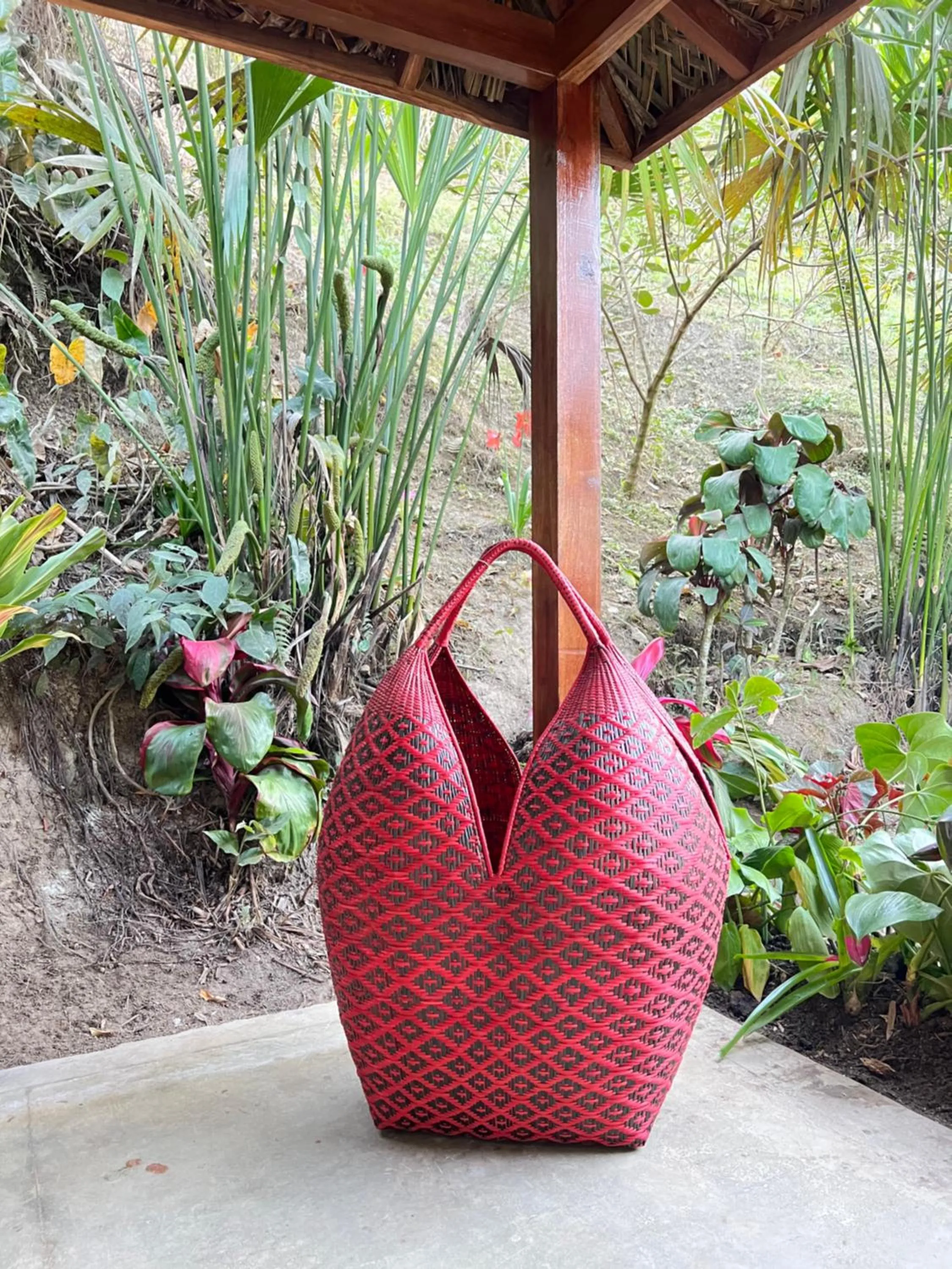 Spring in Reserva Natural Tierra Adentro