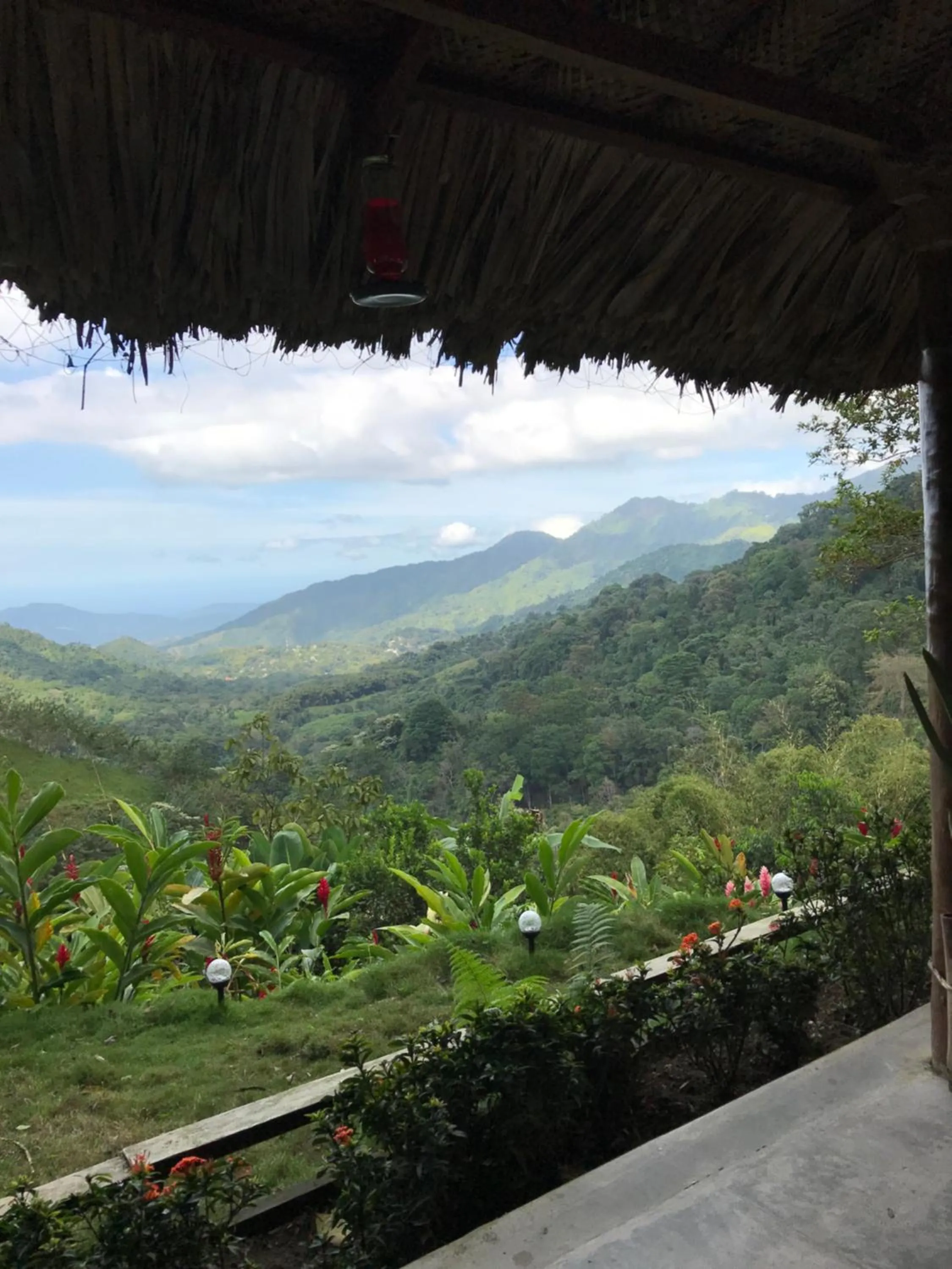 Garden in Reserva Natural Tierra Adentro