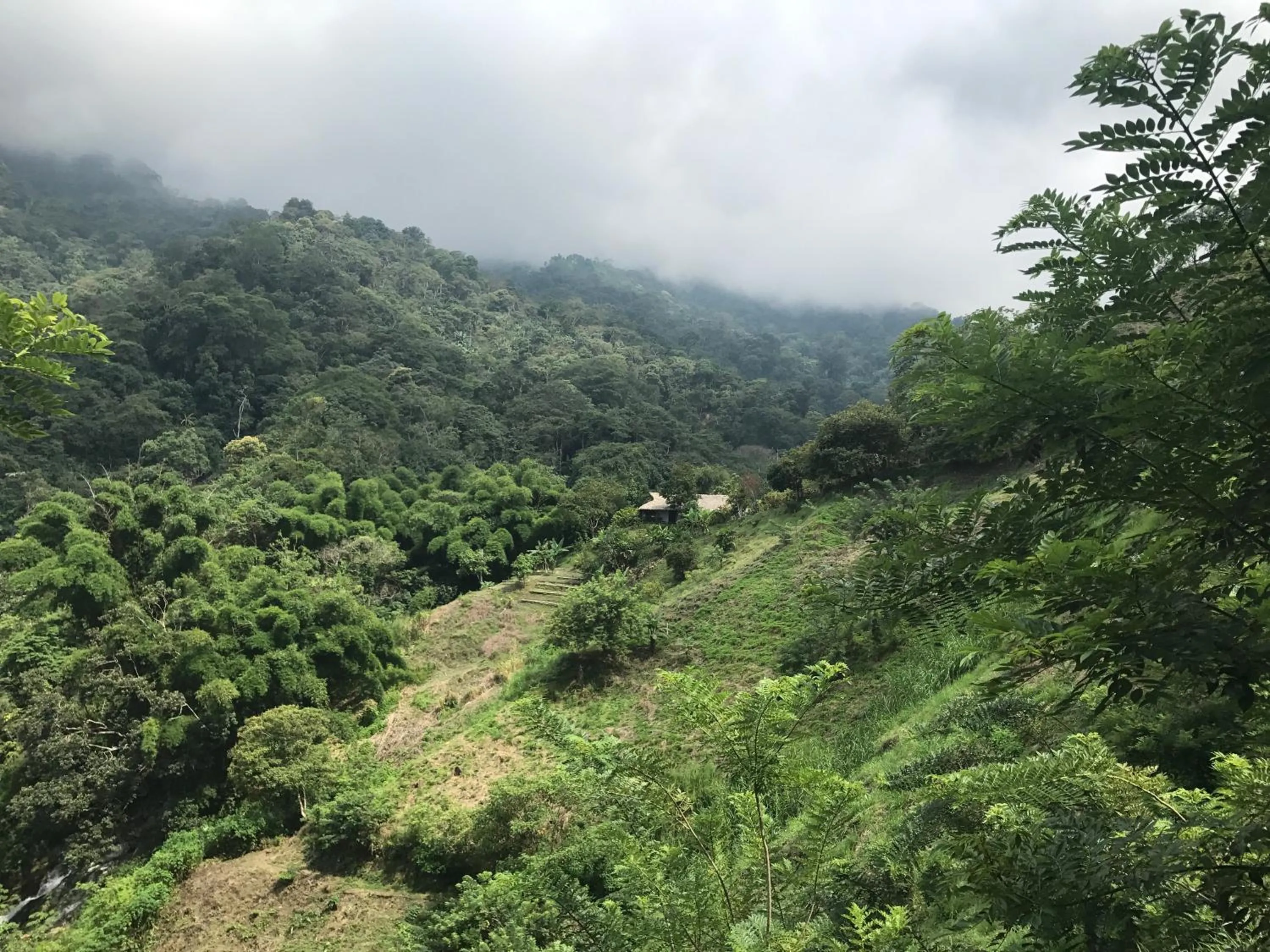 Property building in Reserva Natural Tierra Adentro