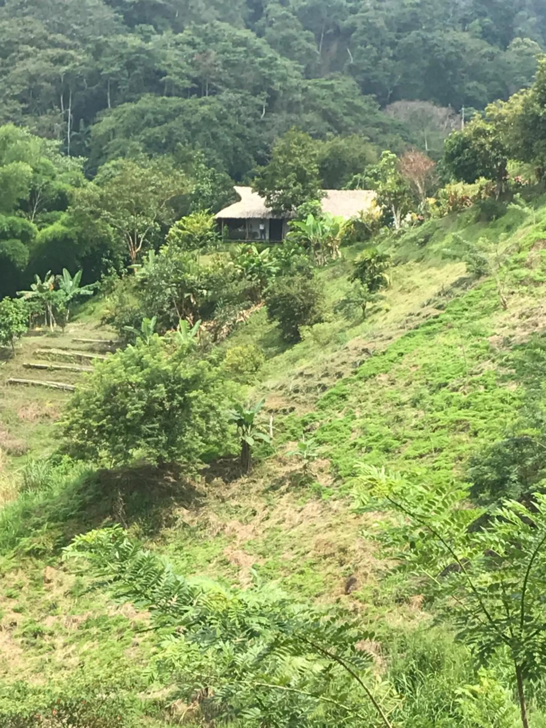 Property building in Reserva Natural Tierra Adentro