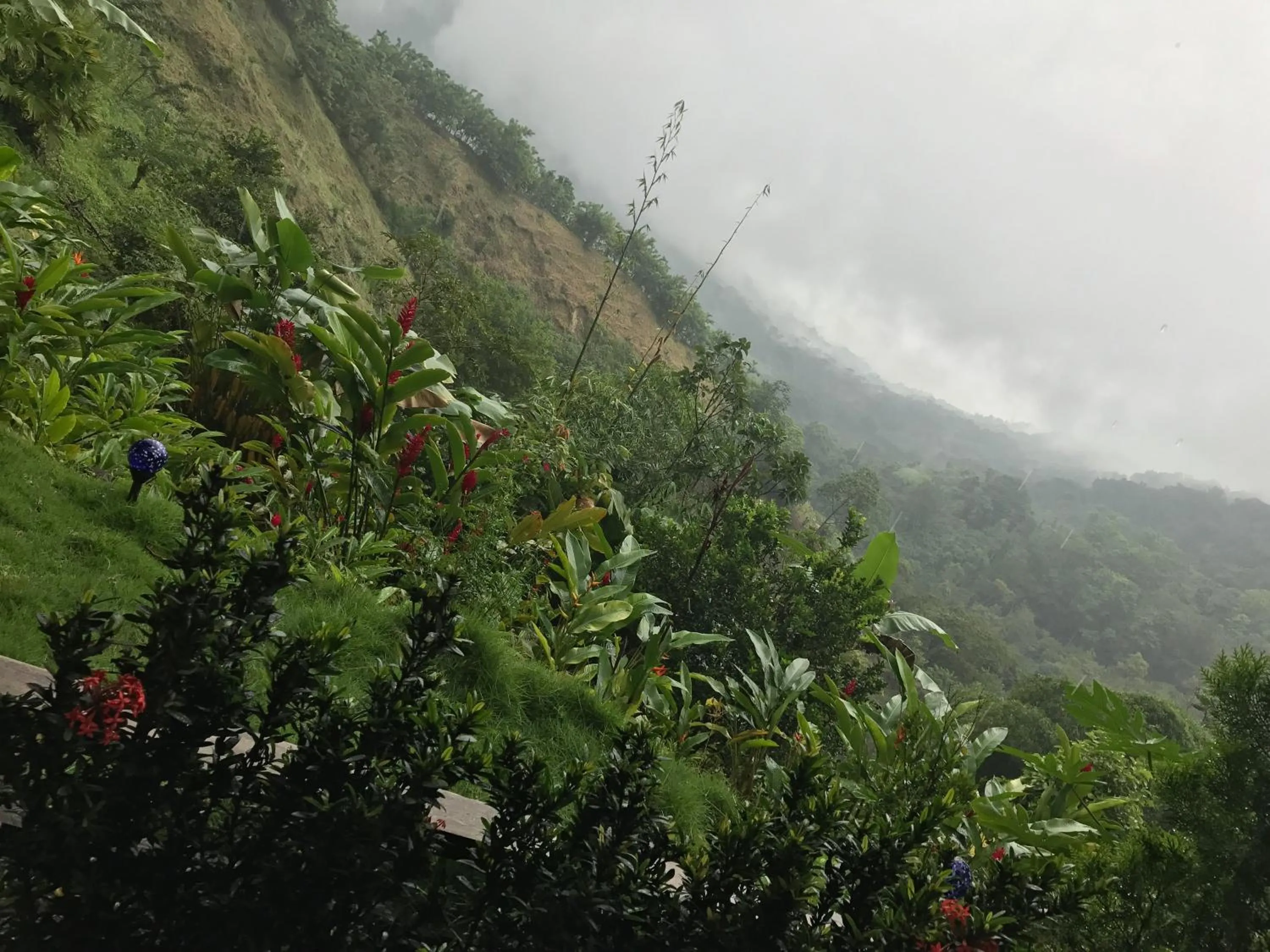 Mountain view in Reserva Natural Tierra Adentro