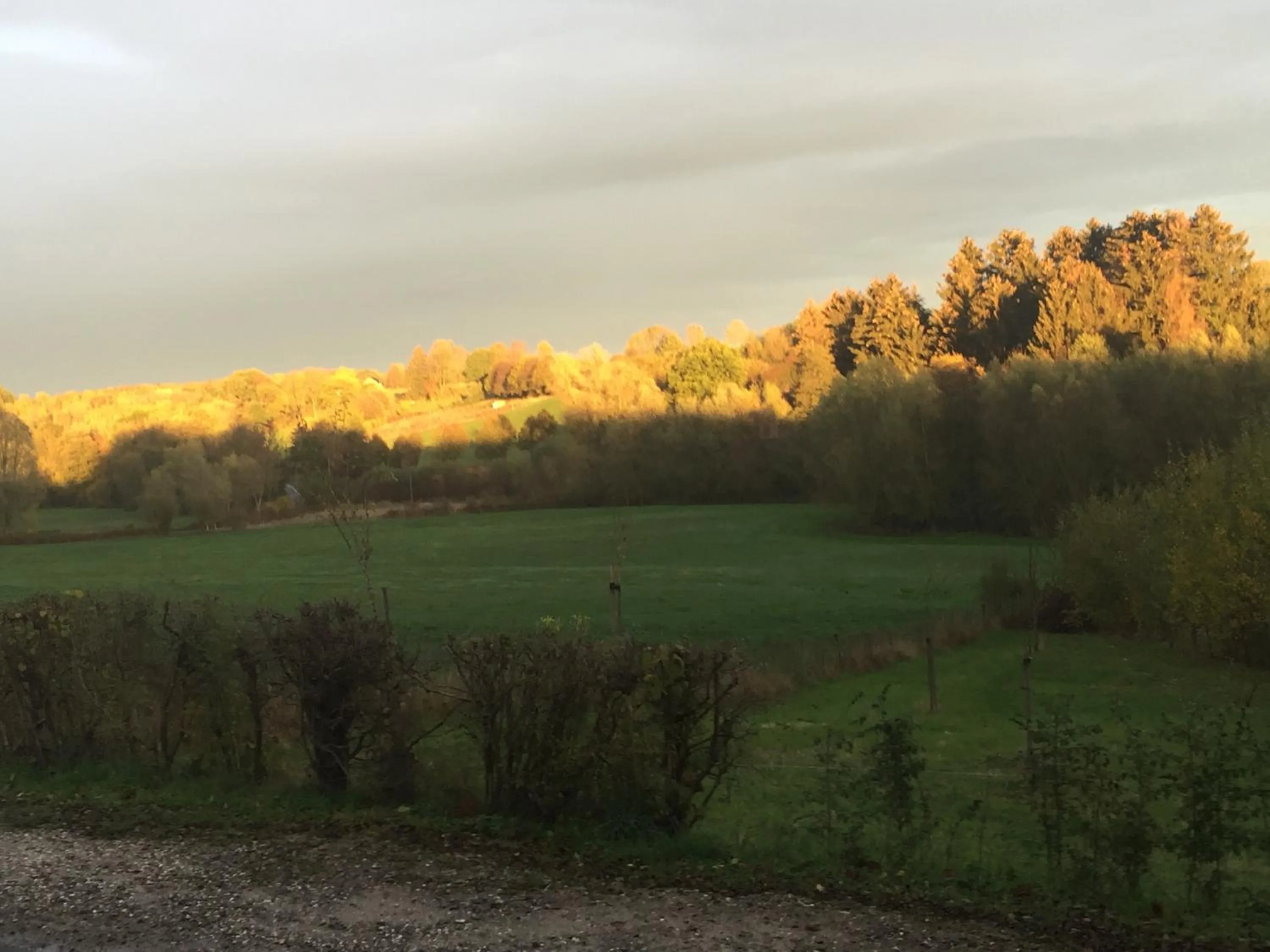 Balcony/Terrace in fermette