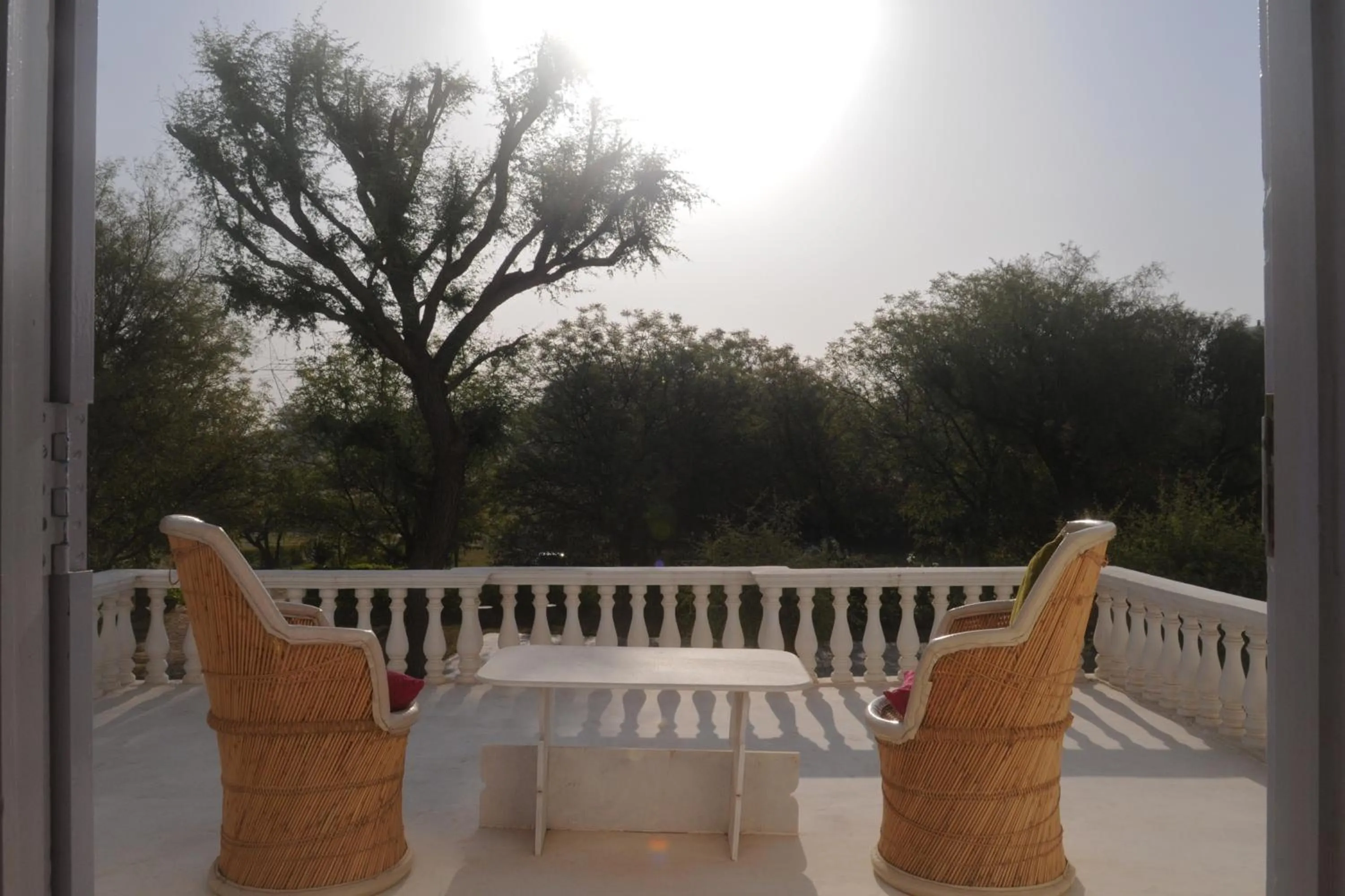 Day in Savista Retreat