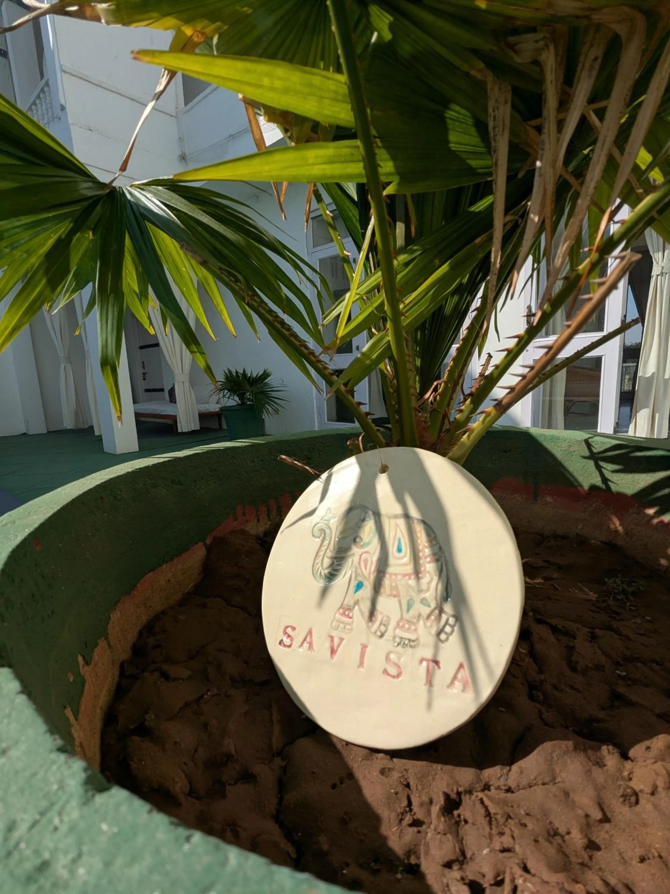 Garden view in Savista Retreat