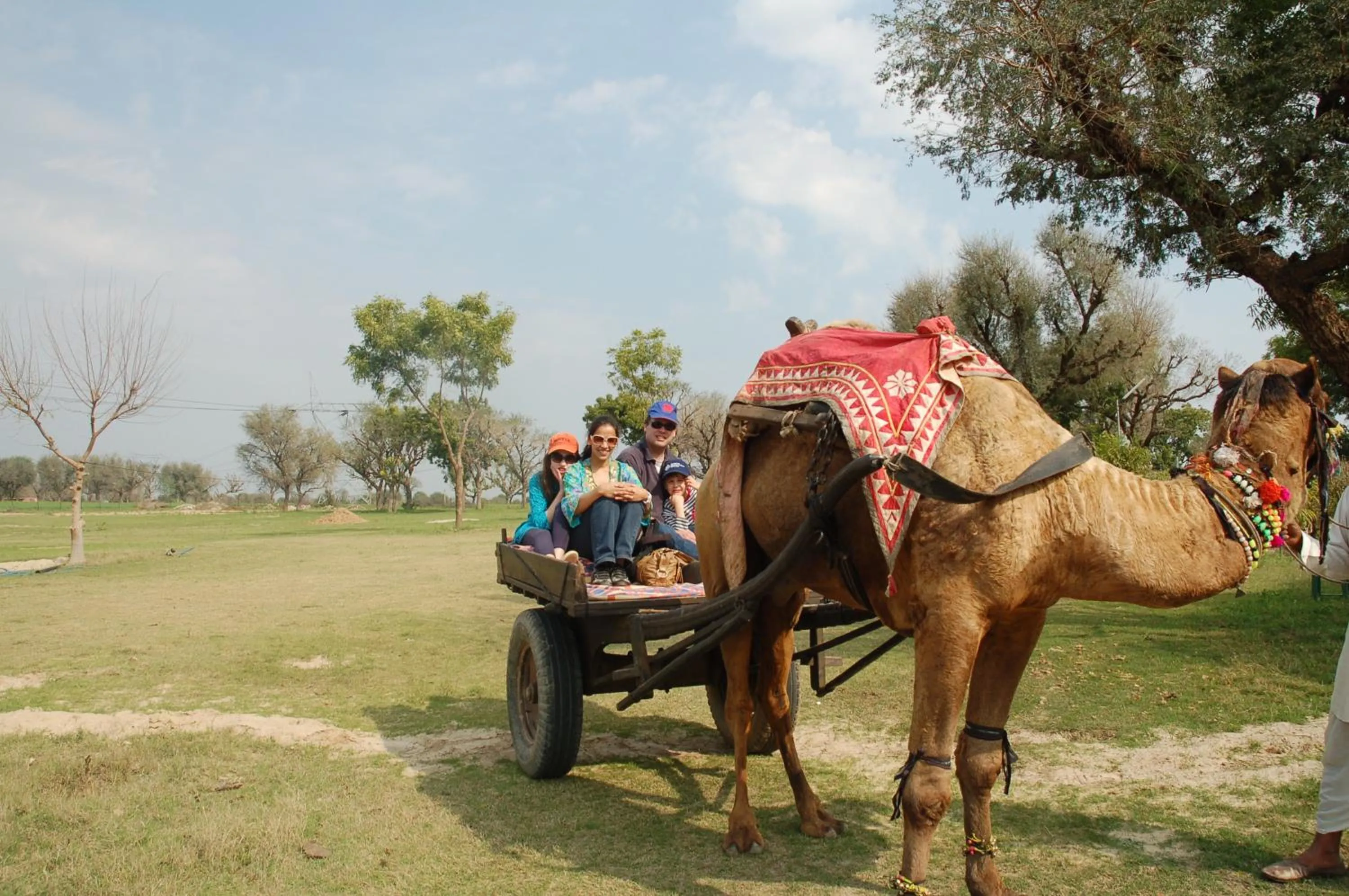 Day in Savista Retreat