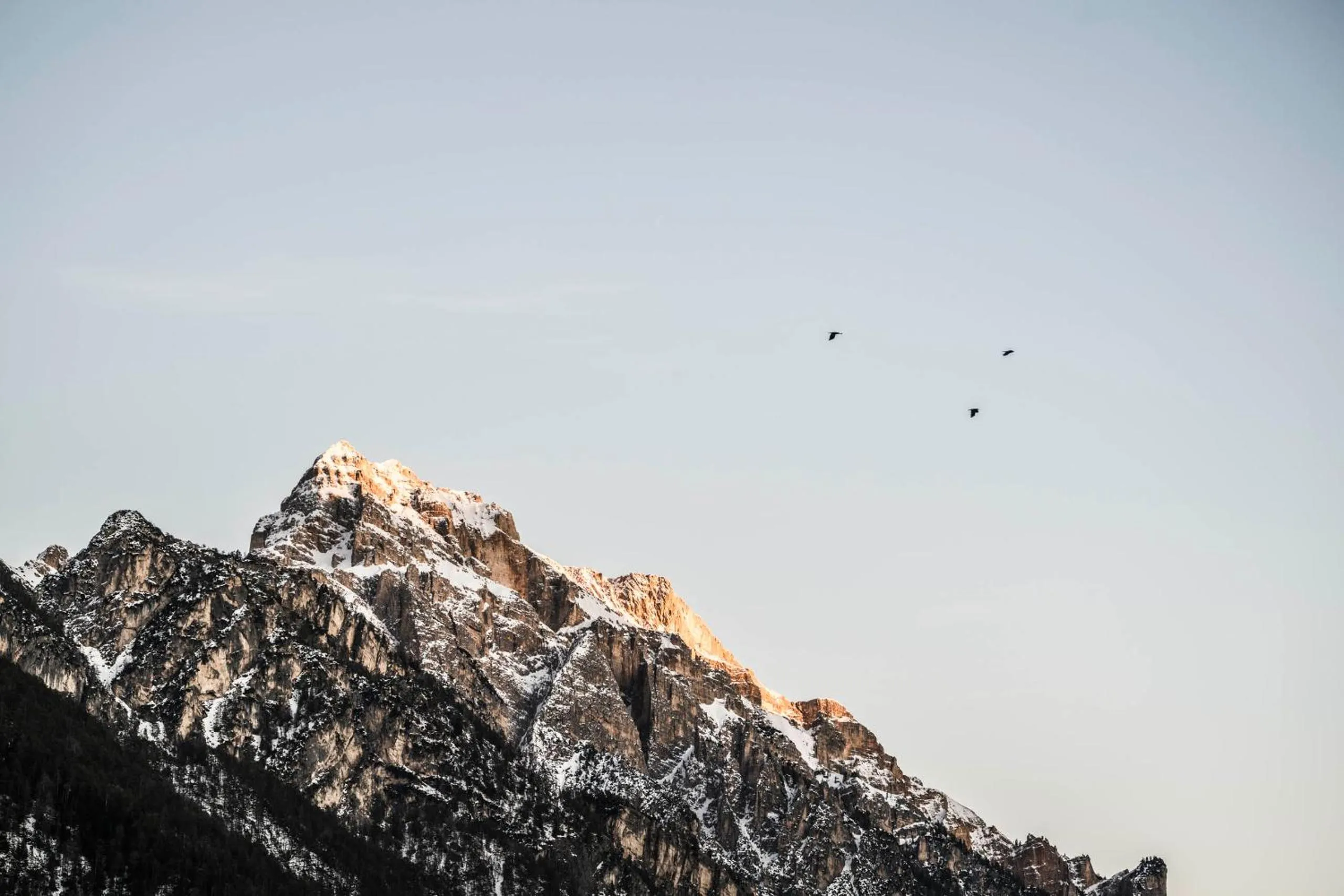 Mountain view in Excelsior Dolomites Life Resort