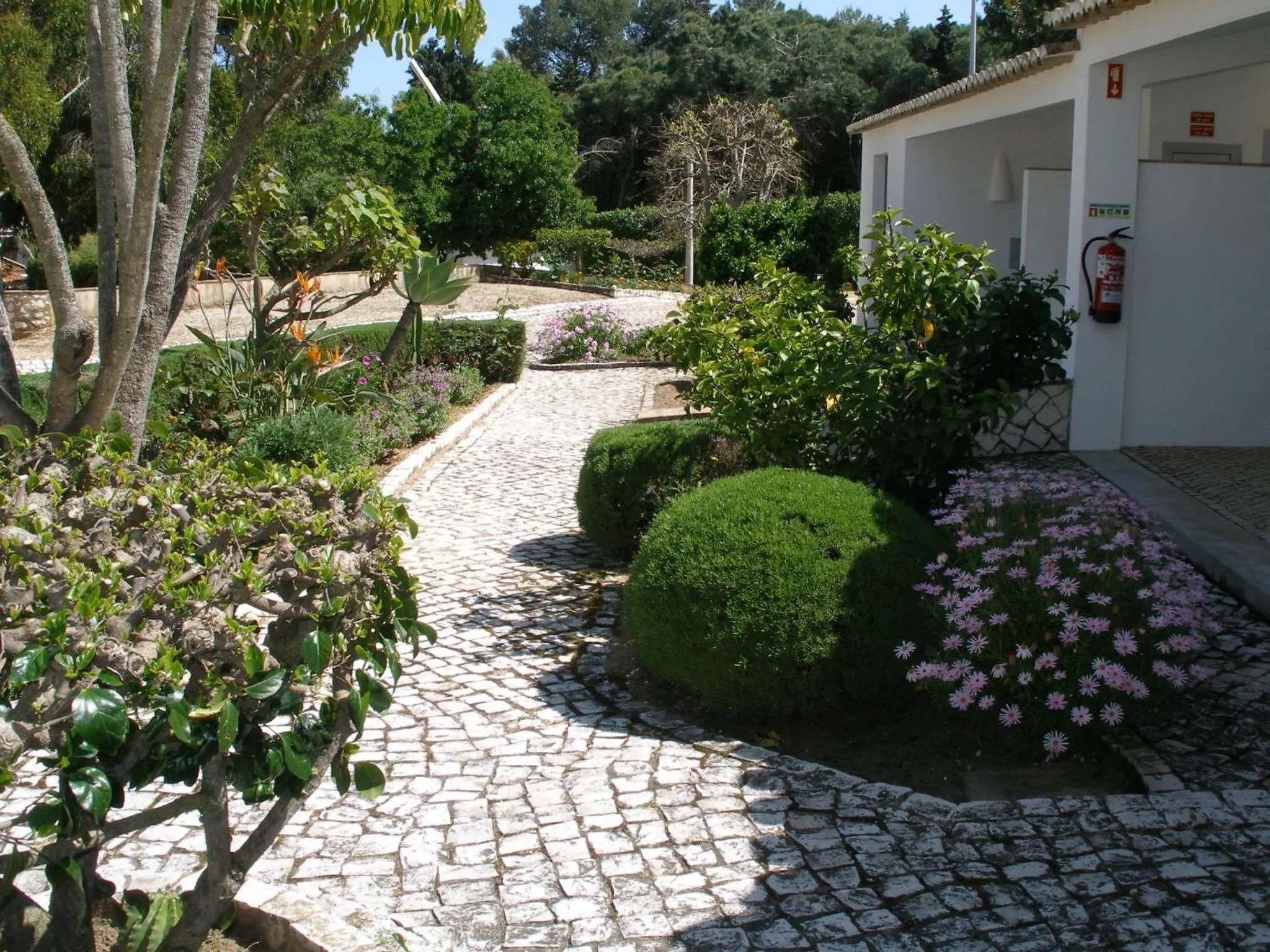 Facade/entrance in Apartamentos Turisticos Marsol