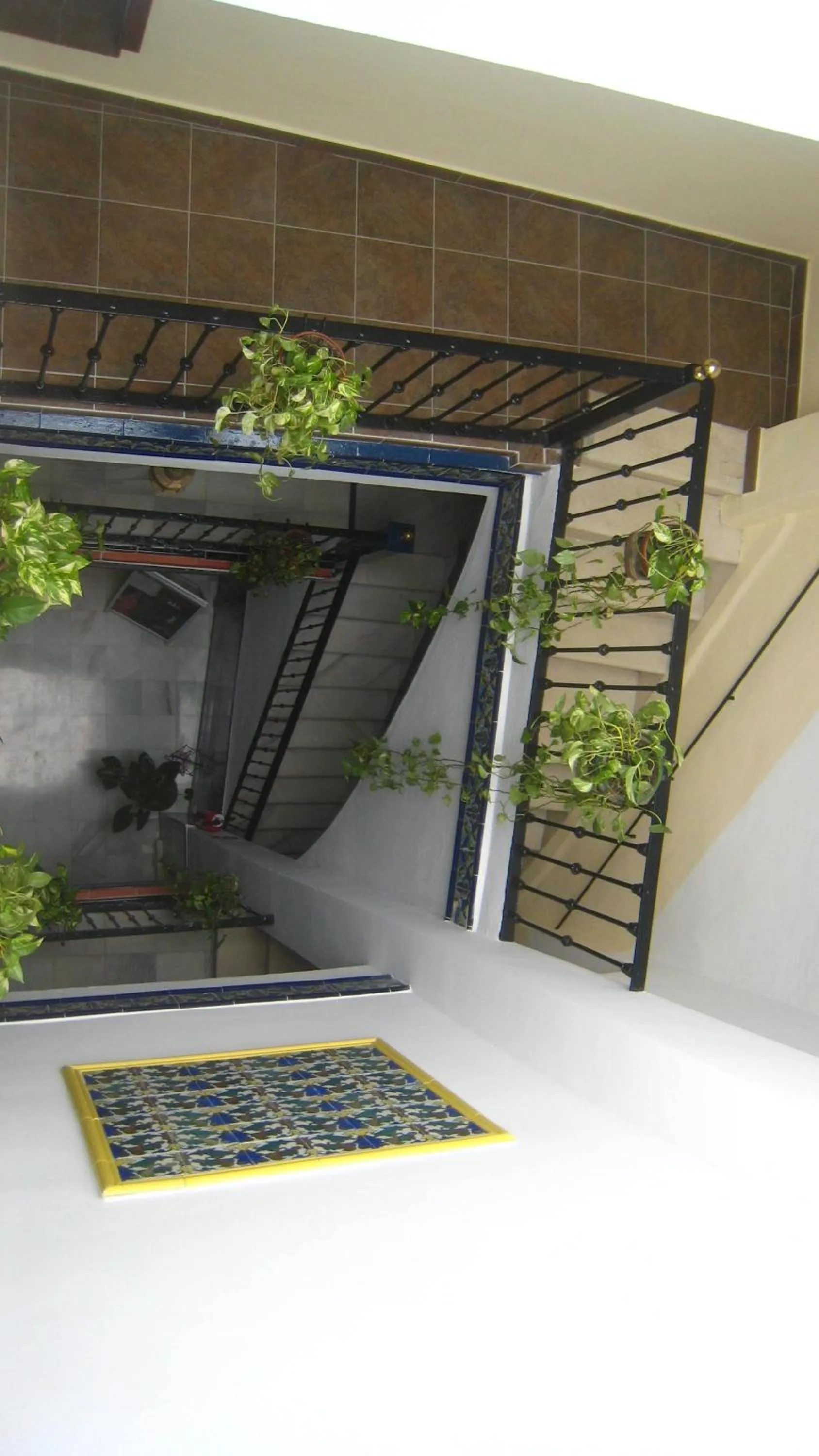 Patio in Pensión La Montoreña