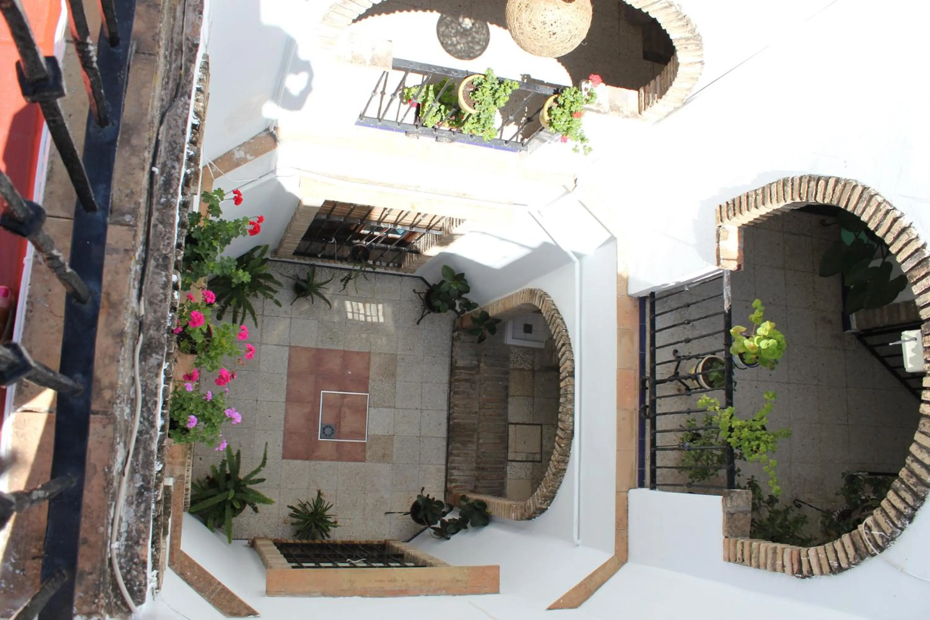 Patio in Pensión La Montoreña