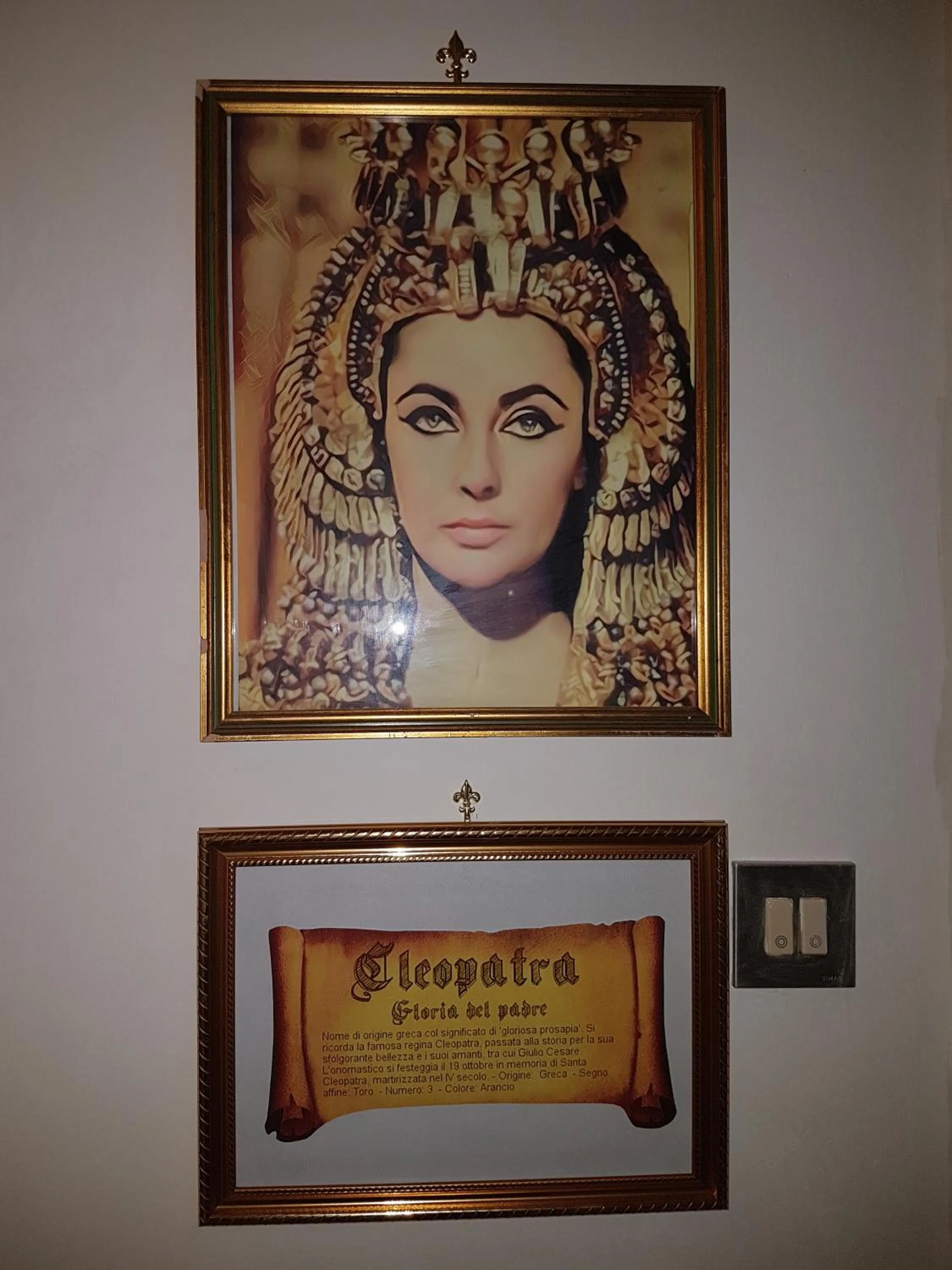 Decorative detail in Residenza Rubbiani - Fermata Fiera e Rizzoli