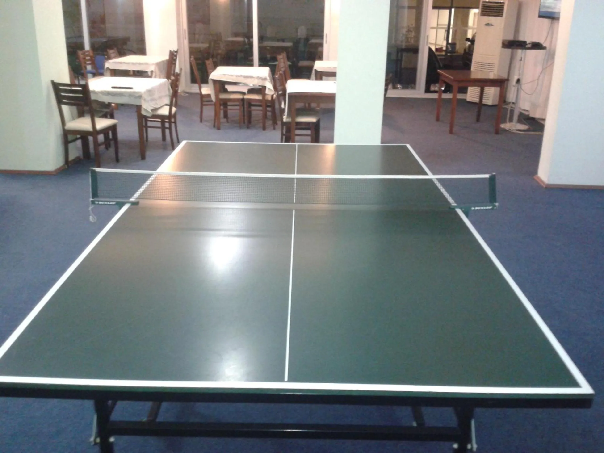 Table tennis in Sirin Villa